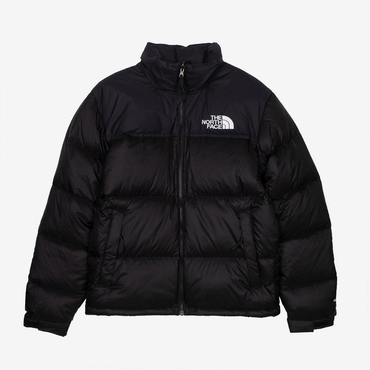 Weather Resistant Coating Layer Option 1996 Retro Nuptse Jacket