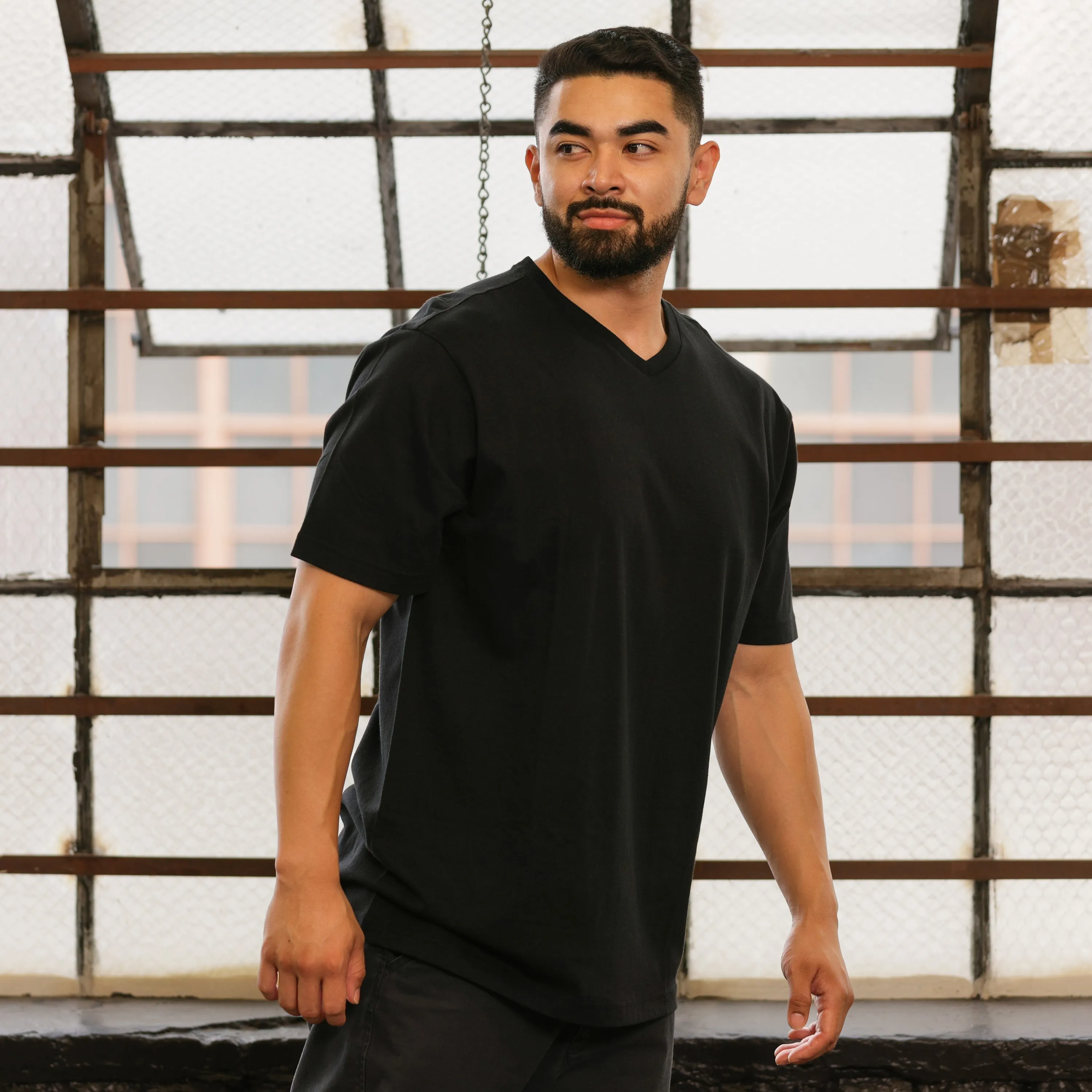 Lightweight Composite Classic Vneck Tee - Mens