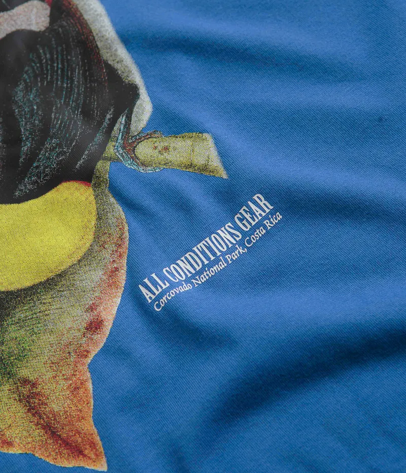 Low-quality Nike ACG Toucan T-Shirt - Game Royal