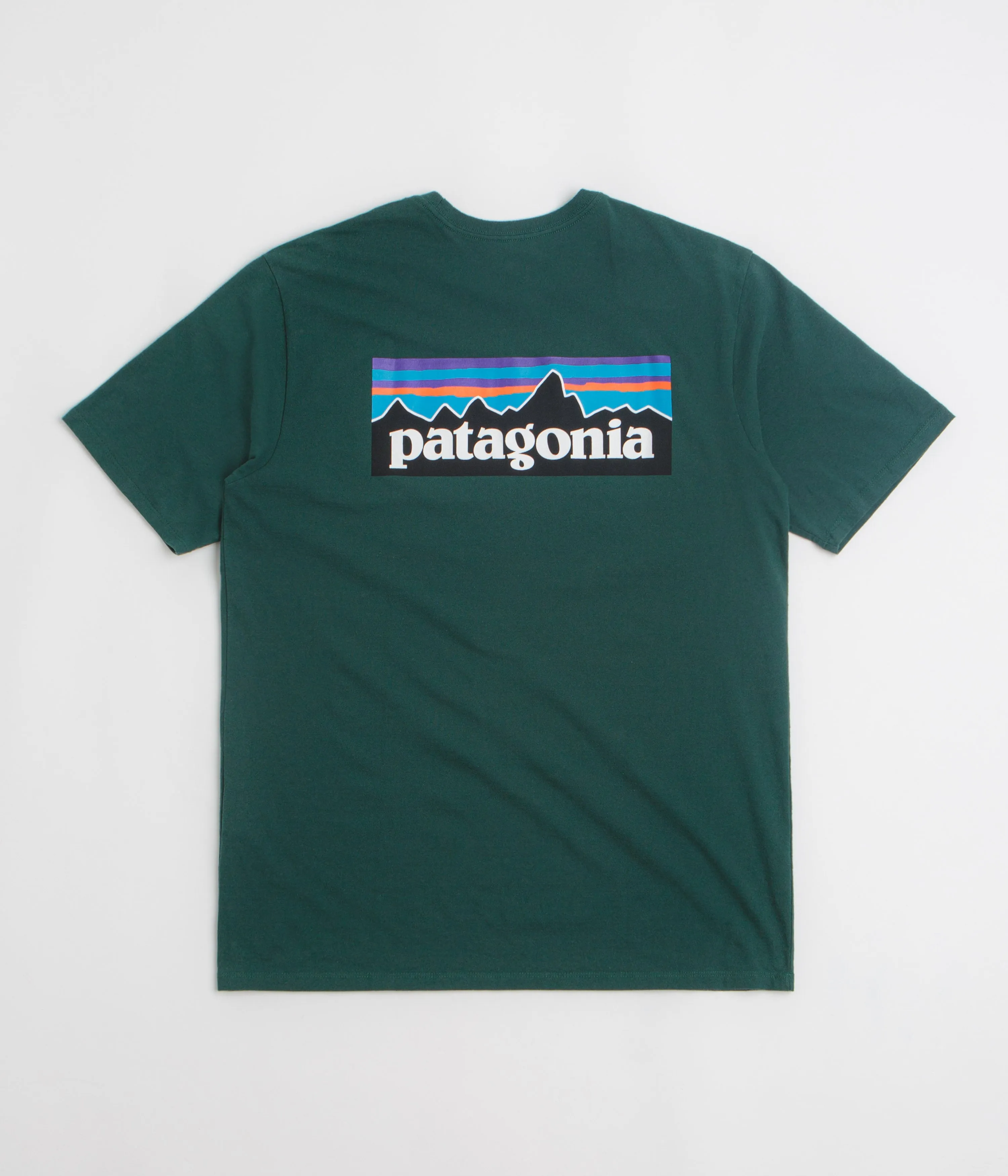 label Patagonia P-6 Logo Responsibili-Tee T-Shirt - Cascade Green
