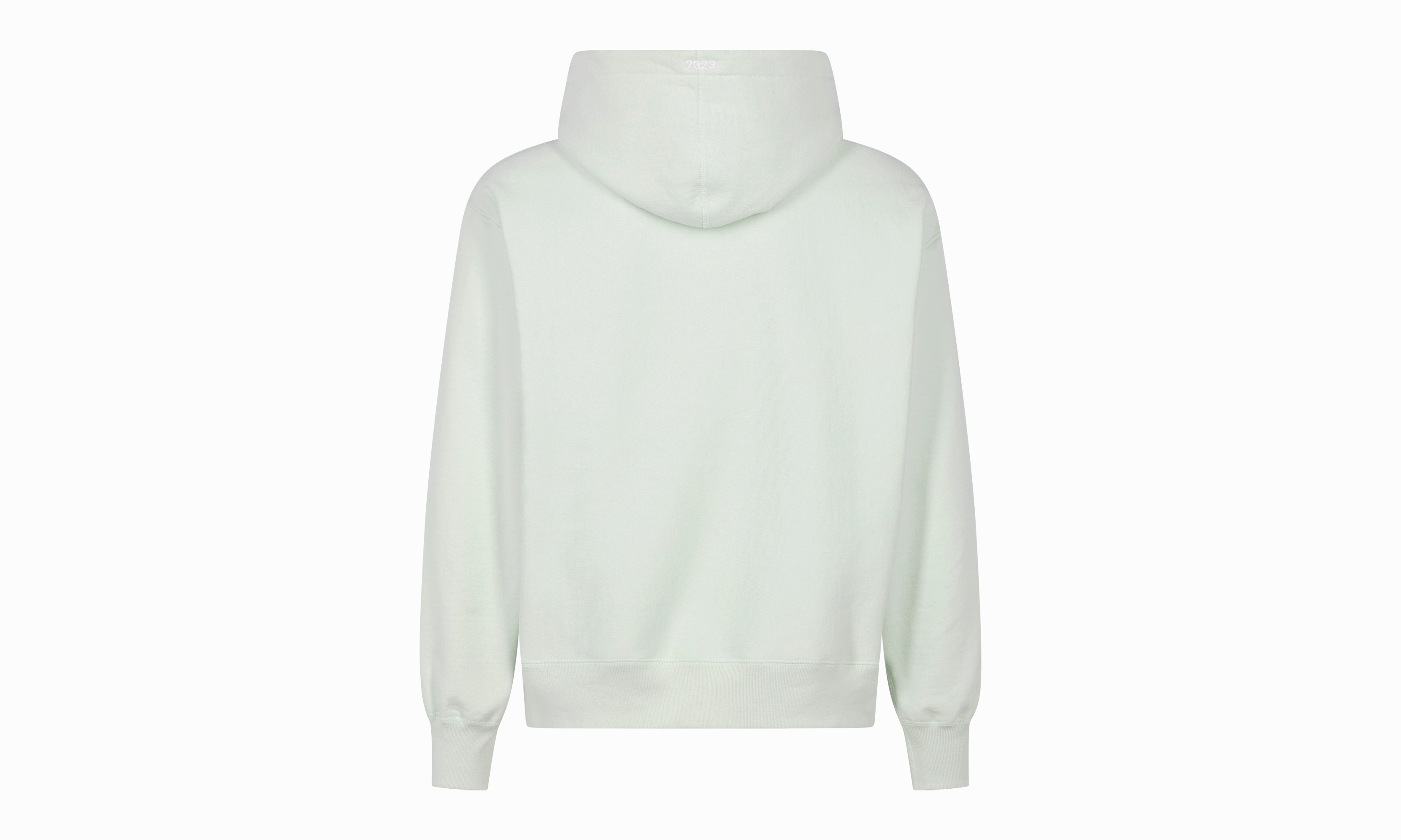 Box Logo Hoodie "FW23 - Light Green"