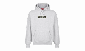Box Logo Hoodie "FW 23 - Ash Grey"