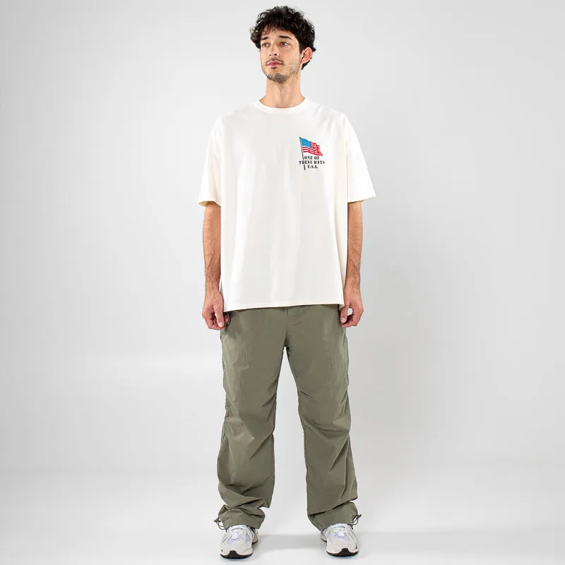 One Of These Days American Flag Tee - Bone clip