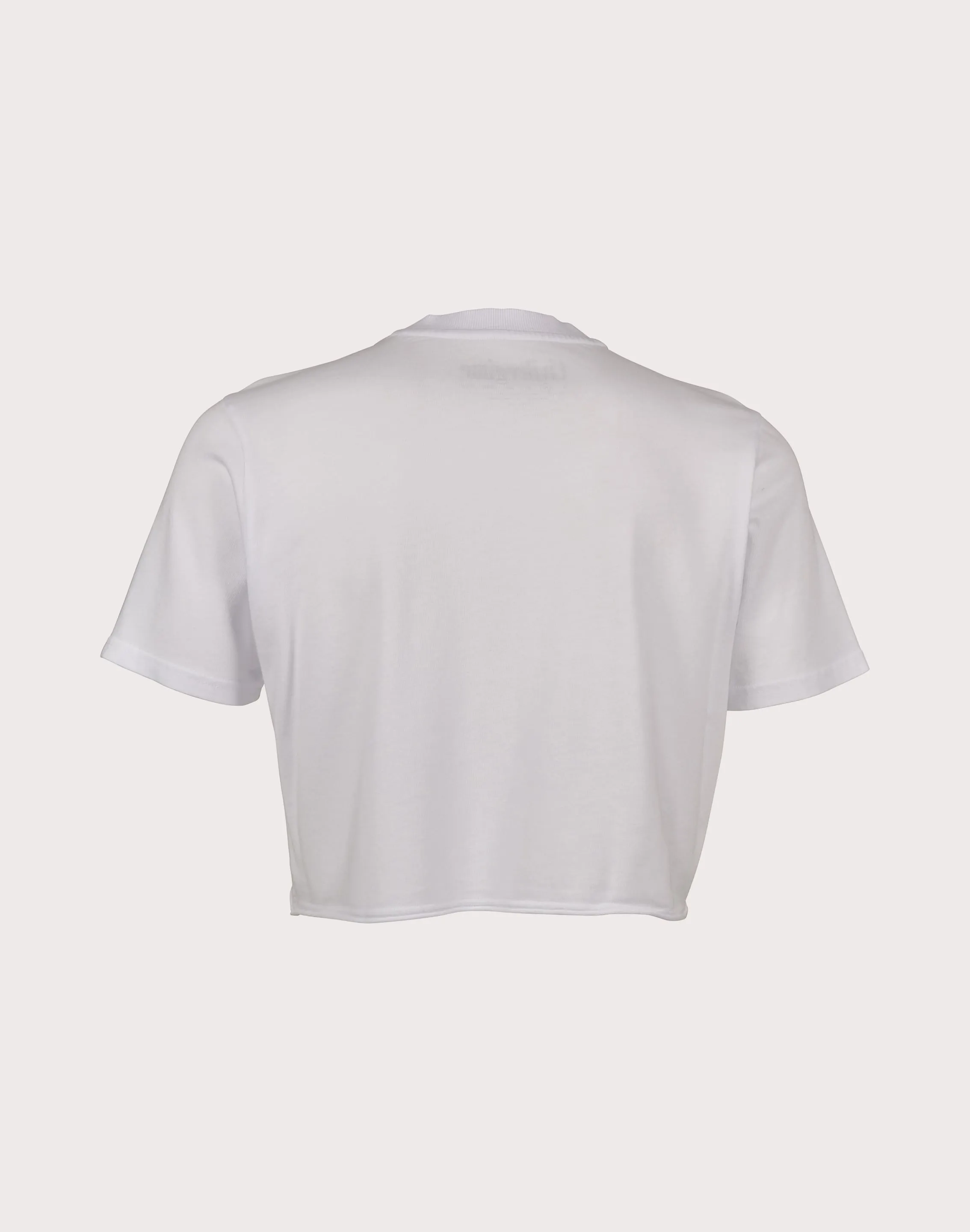 CIVIL CLOTHING Rose Year Crop White Tee Airtight Zipper Vision Fit