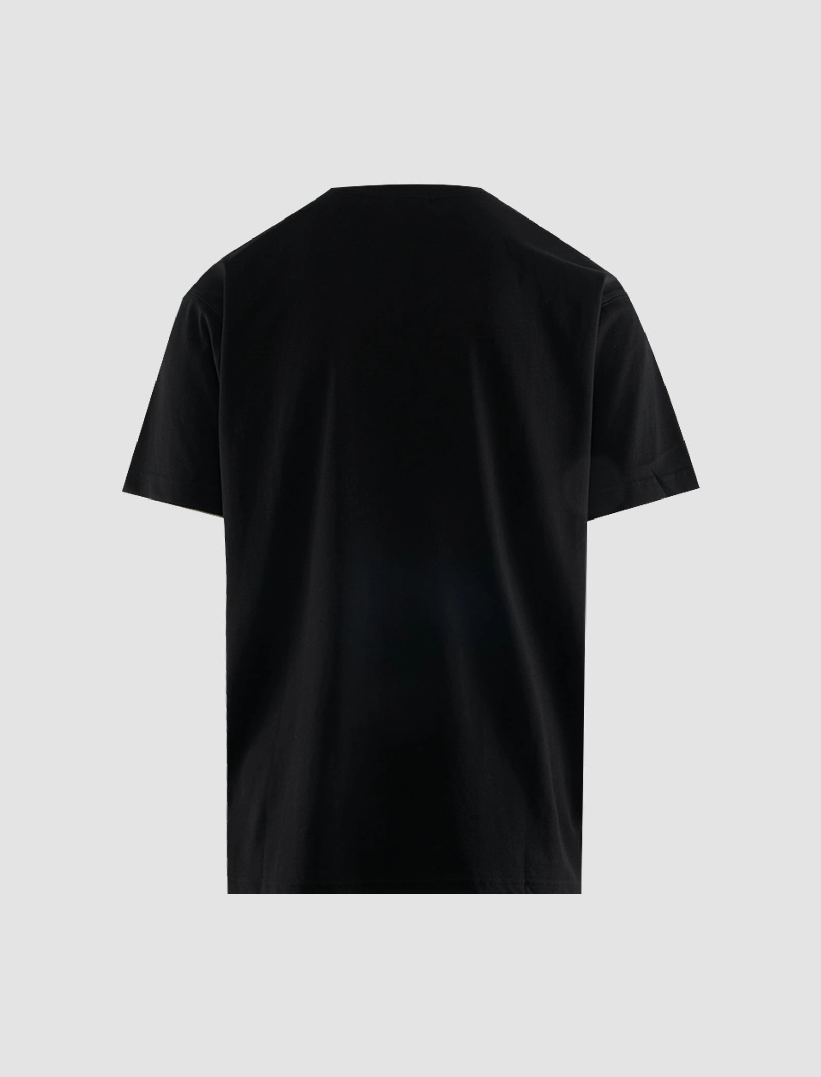 GarmentWashed Softness AllDay Comfort Tech CLASSIC SHIN T-SHIRT