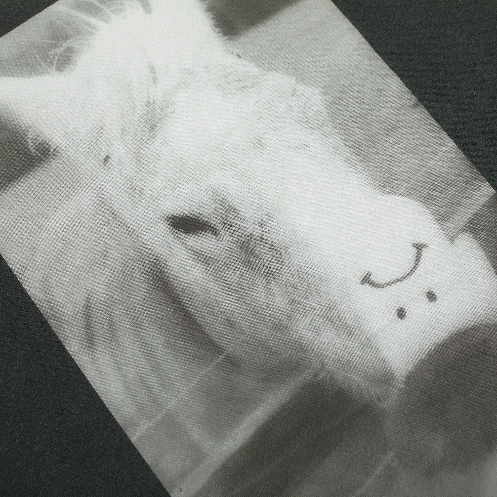 Polar Horse Hand T-Shirt Sustainable fashion