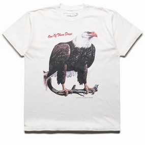 One Of These Days Bird Of Prey Tee - Bone Elderly buckle
