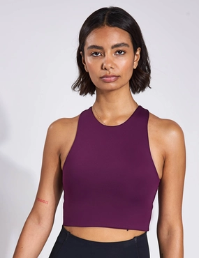 Dylan Bra - Plum Mesh workout gear High-intensity workouts