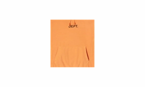 Dept Logo Hoodie "Orange / Black"