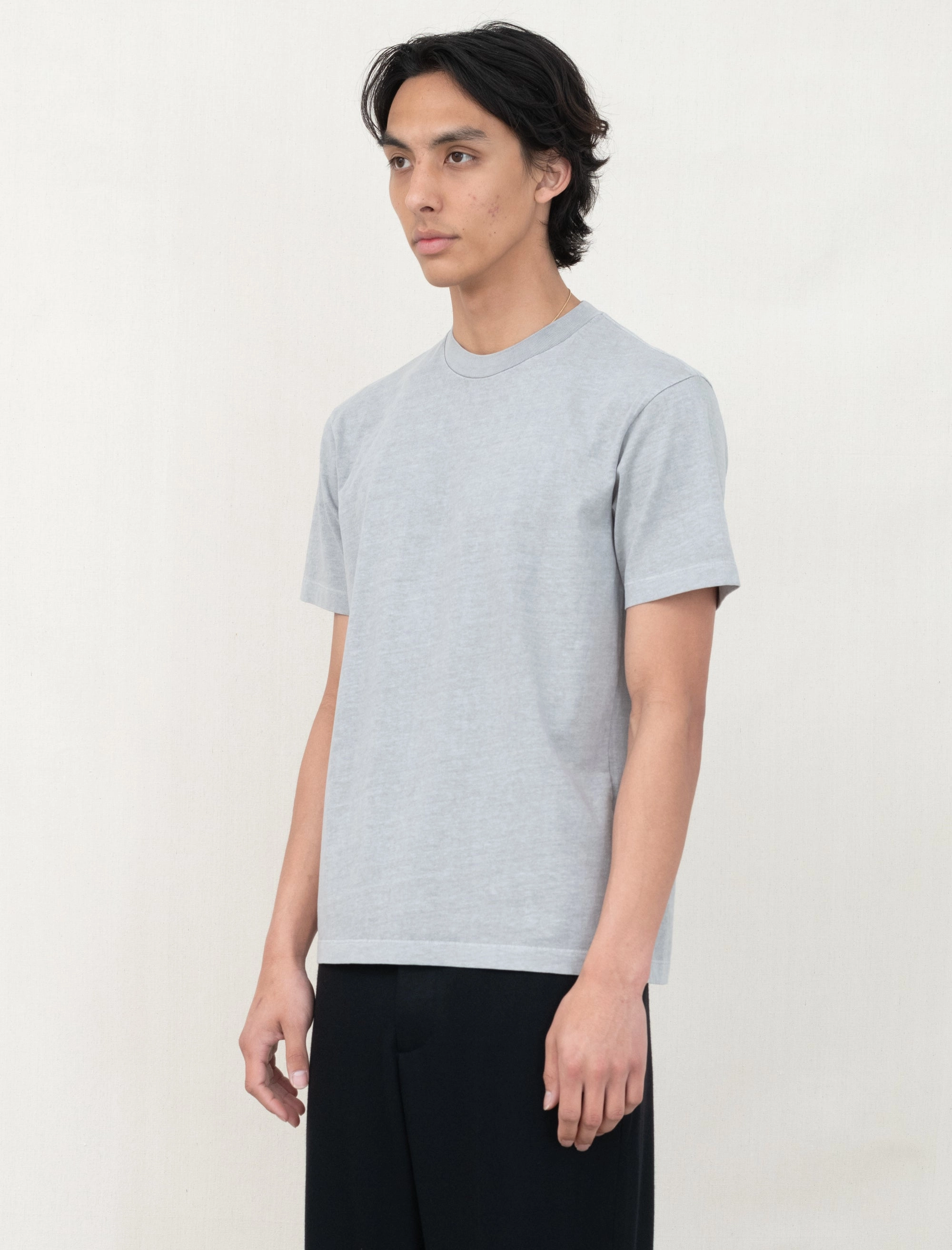 Municipal T-Shirt (Pigment Chalk) MoistureWicking