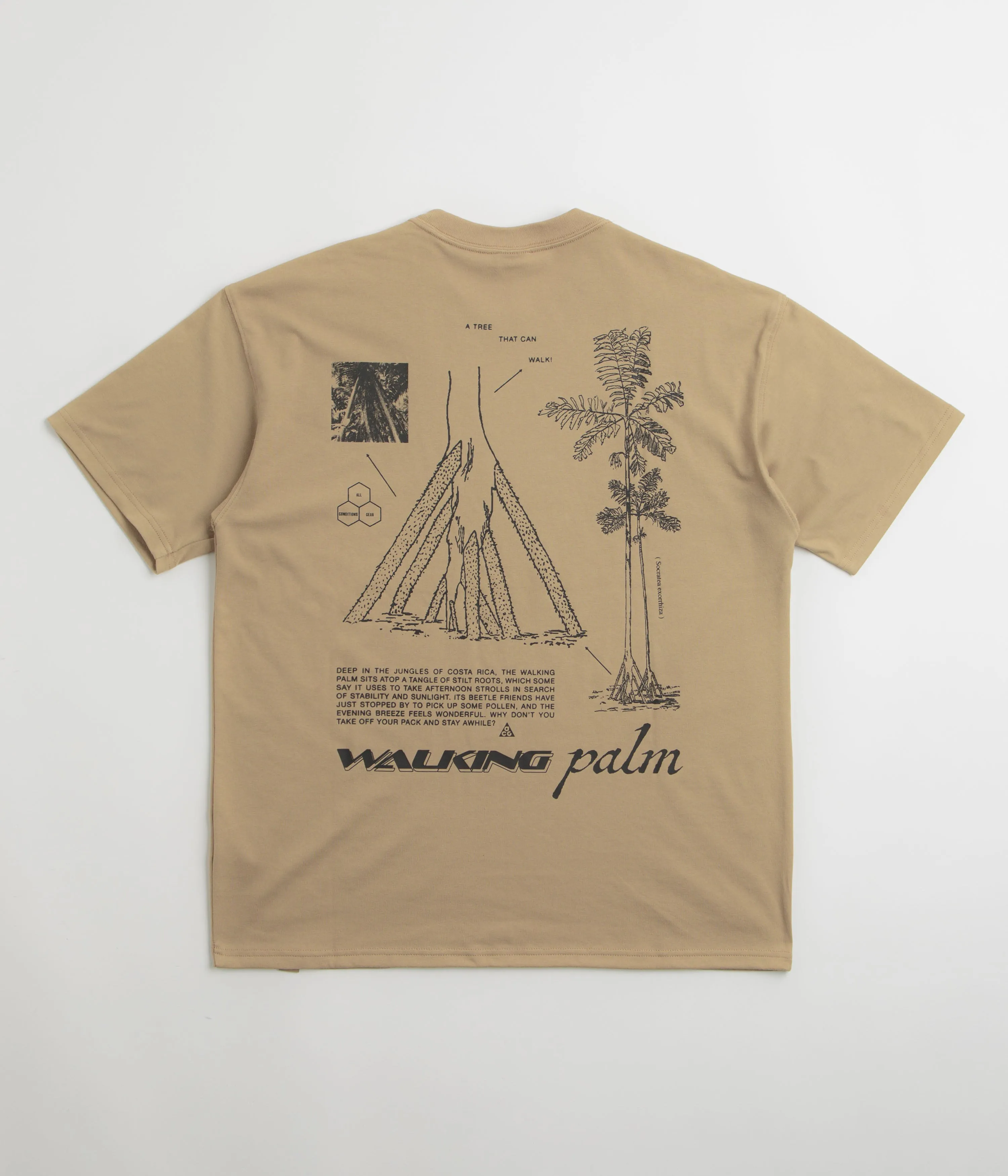 Nike ACG Walk Tree T-Shirt - Parachute Beige mass-produced