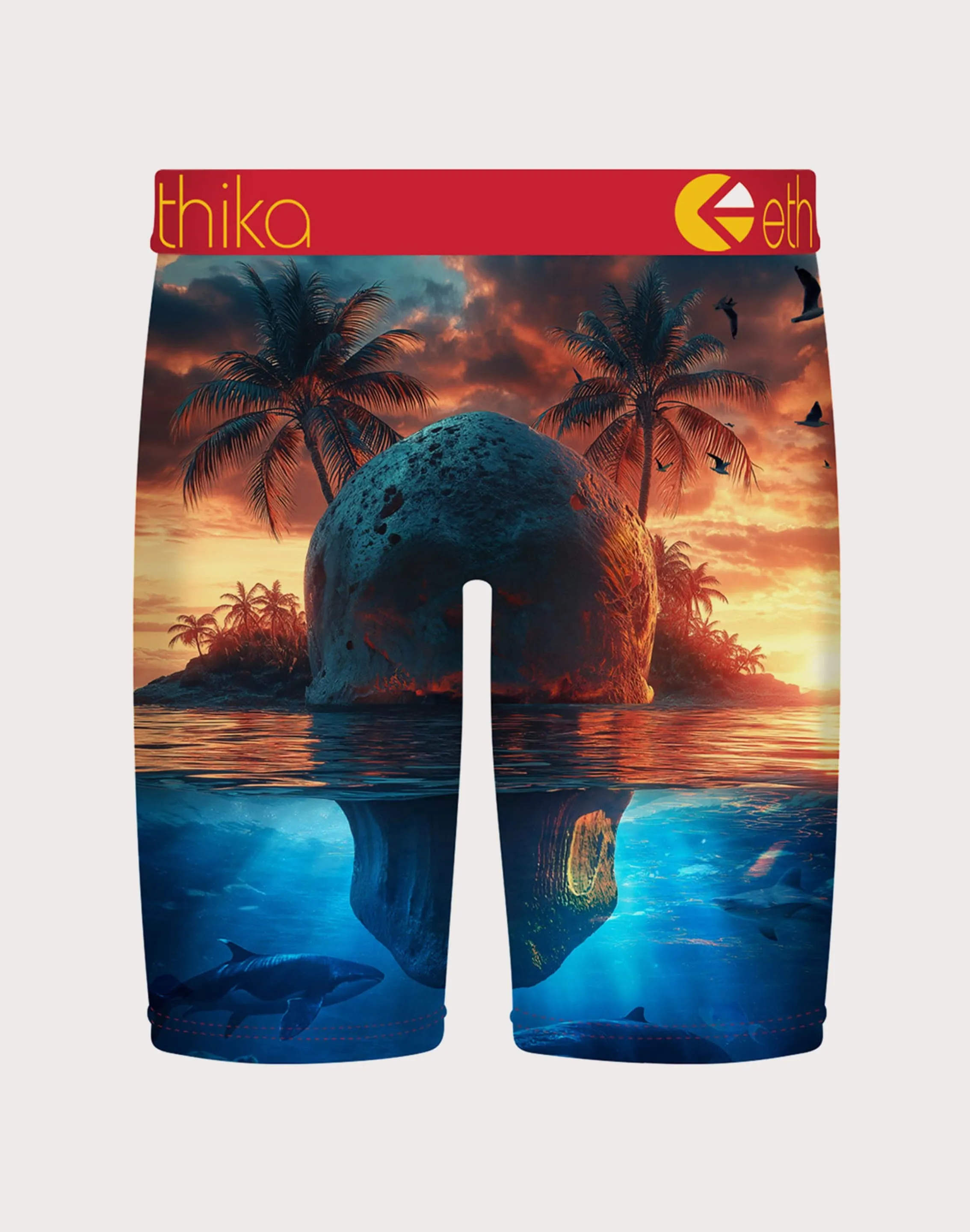 FlexibleMaterial Ethika Skol Island Boxer Briefs