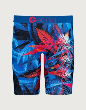 Ethika Exotica Boxer Briefs Hidden pockets