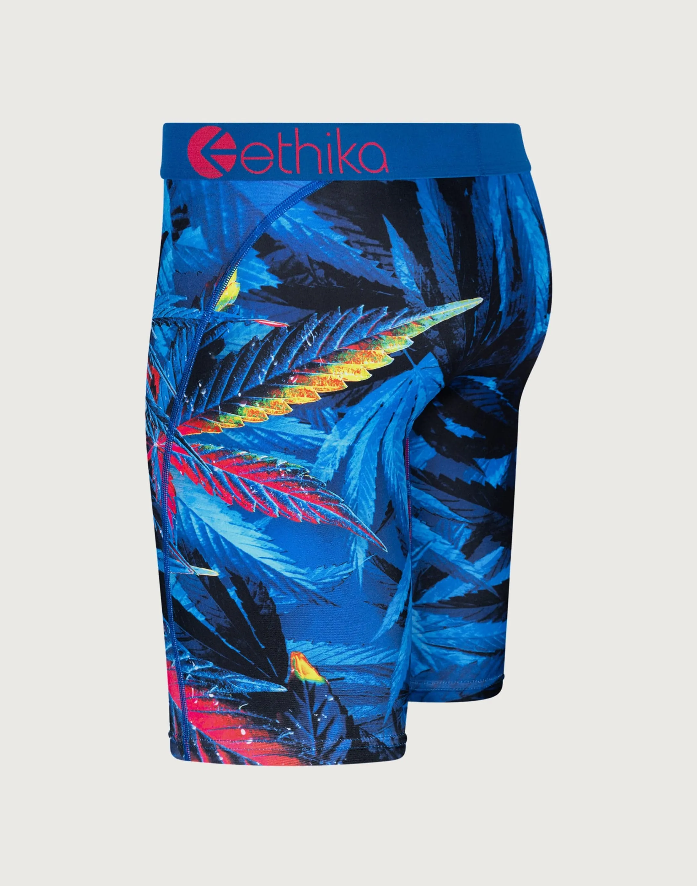 Ethika Exotica Boxer Briefs clean look