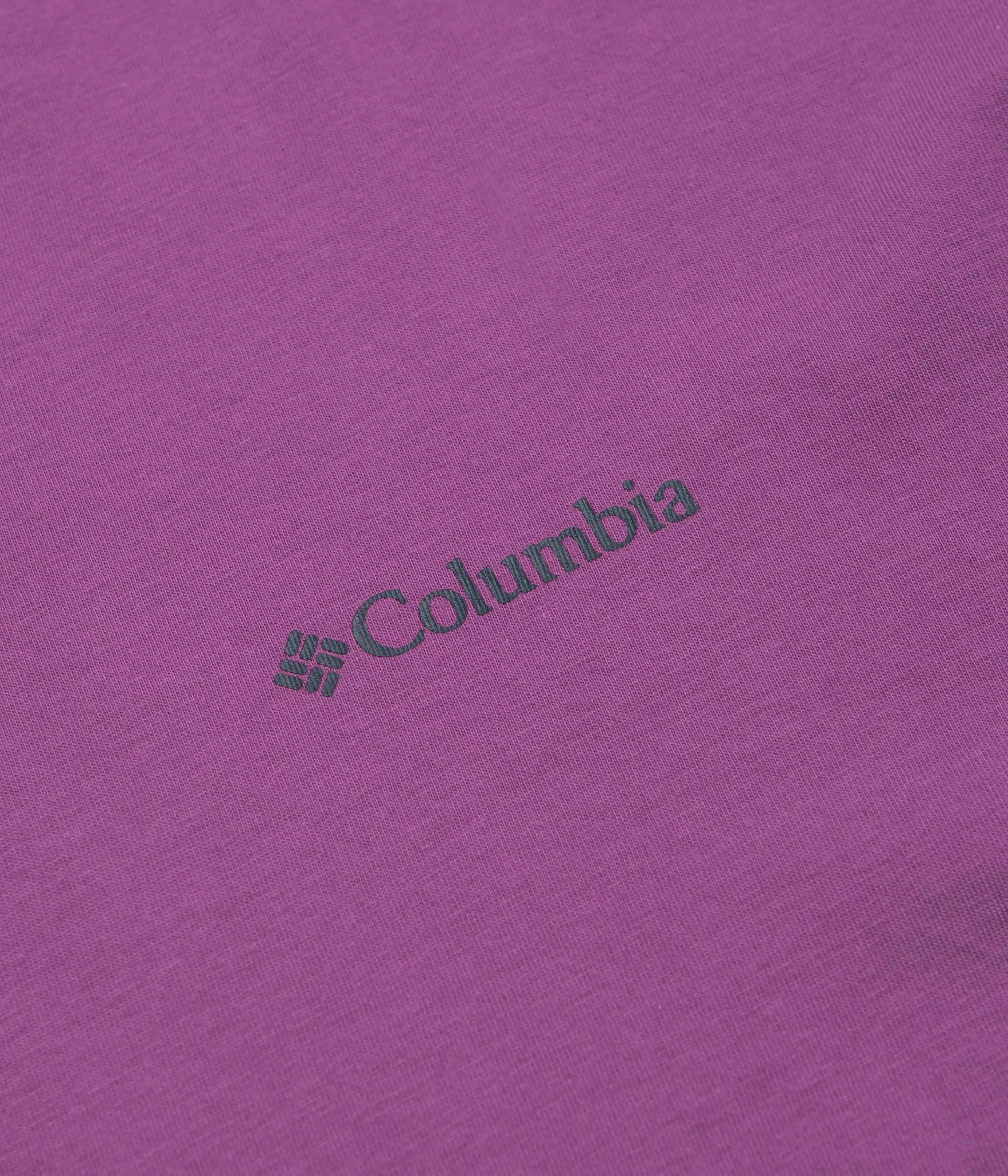 Columbia Black Butte Graphic T-Shirt - Razzle / Linear View concert venue