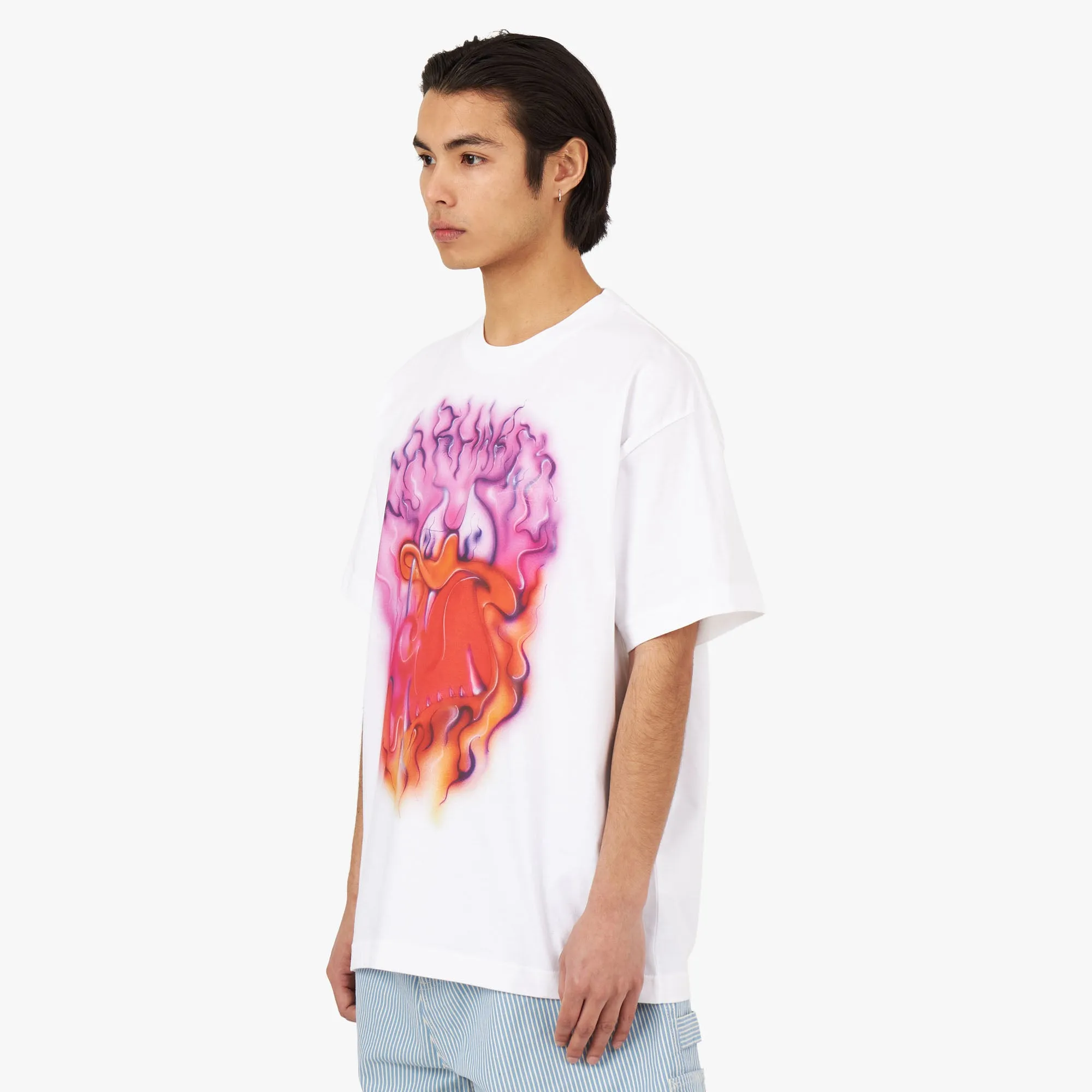 plane venue Carhartt WIP Babybrush Duck T-shirt / White