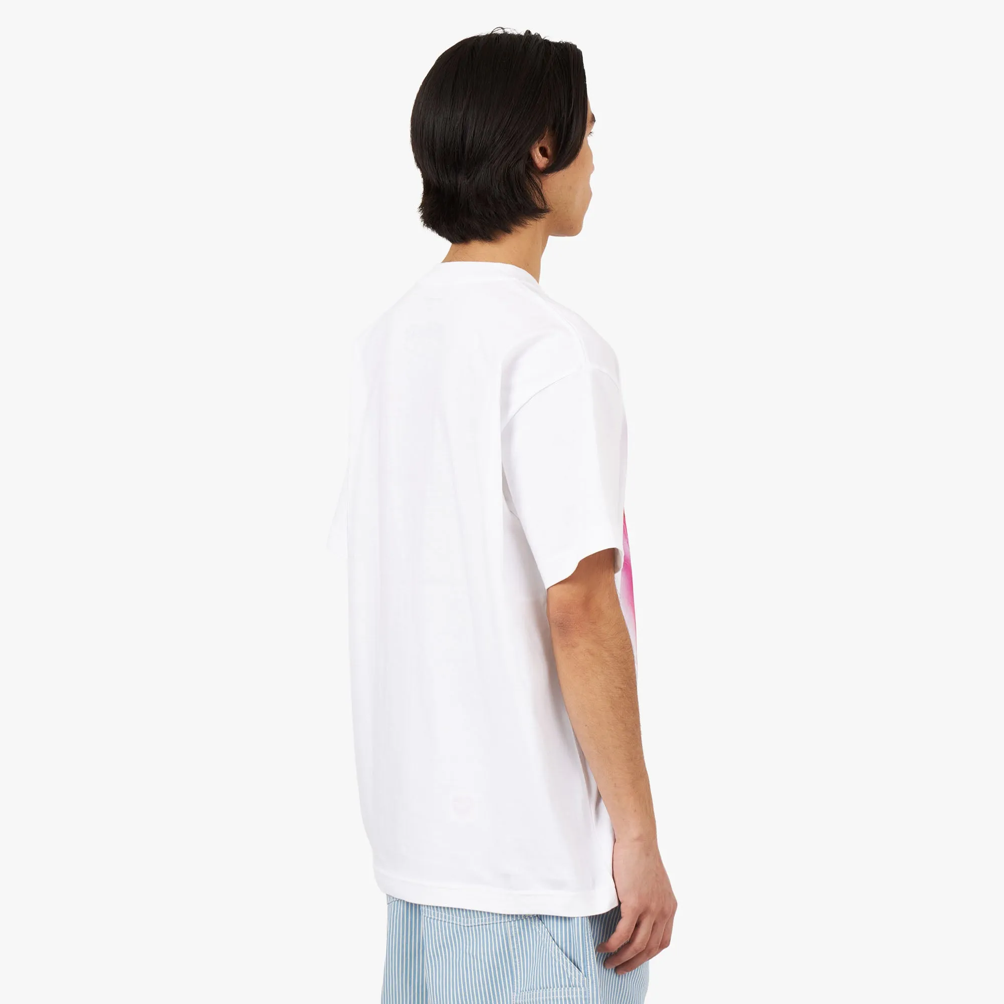 Carhartt WIP Babybrush Duck T-shirt / White Pin Wrinkle-Resistant