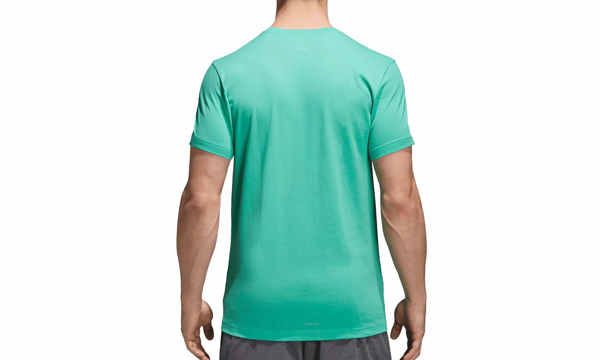 Spark Mood Flight Fit Graphic Crew Neck T-Shirt "Green / Black"