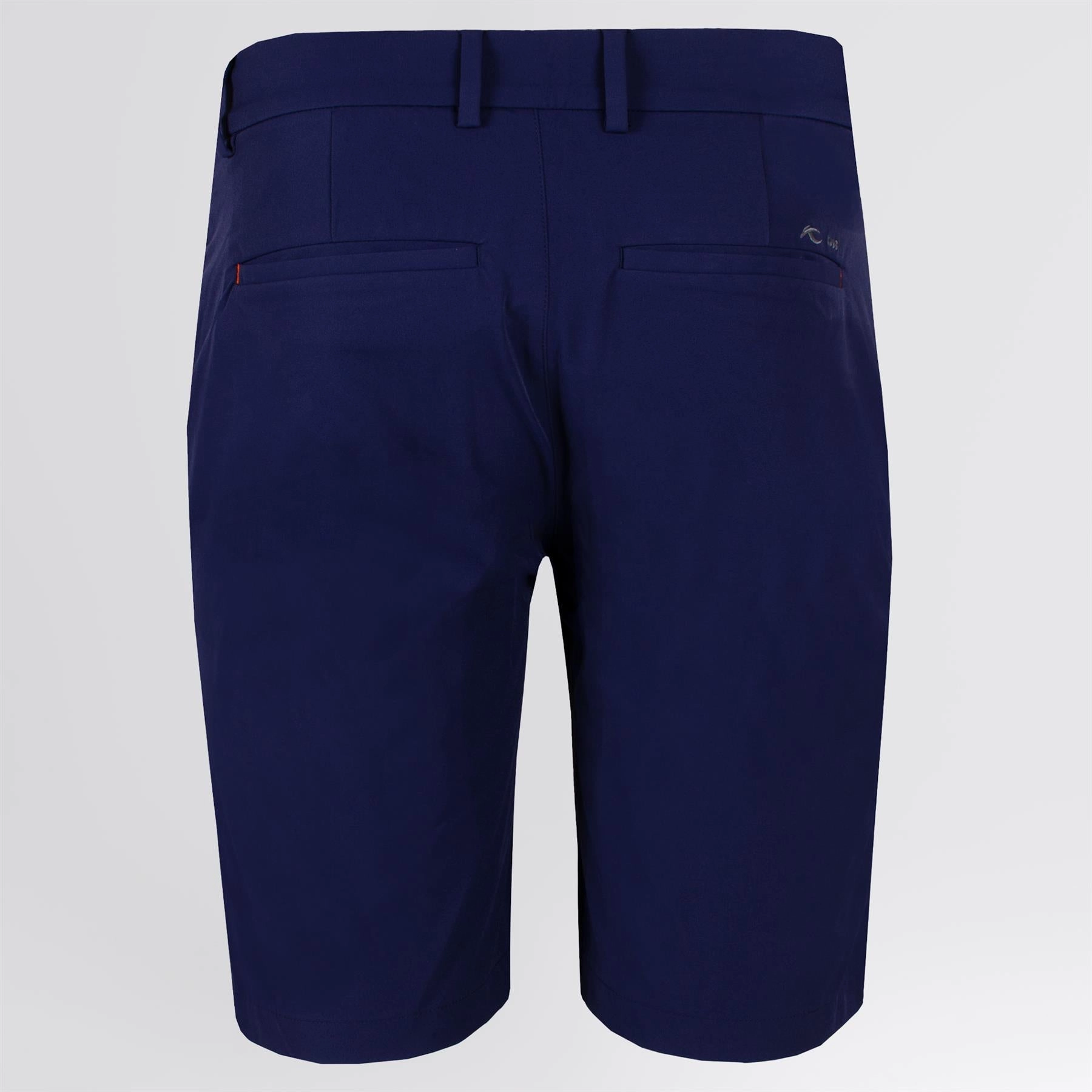 Iver Shorts Atlanta Blue Daily Essential