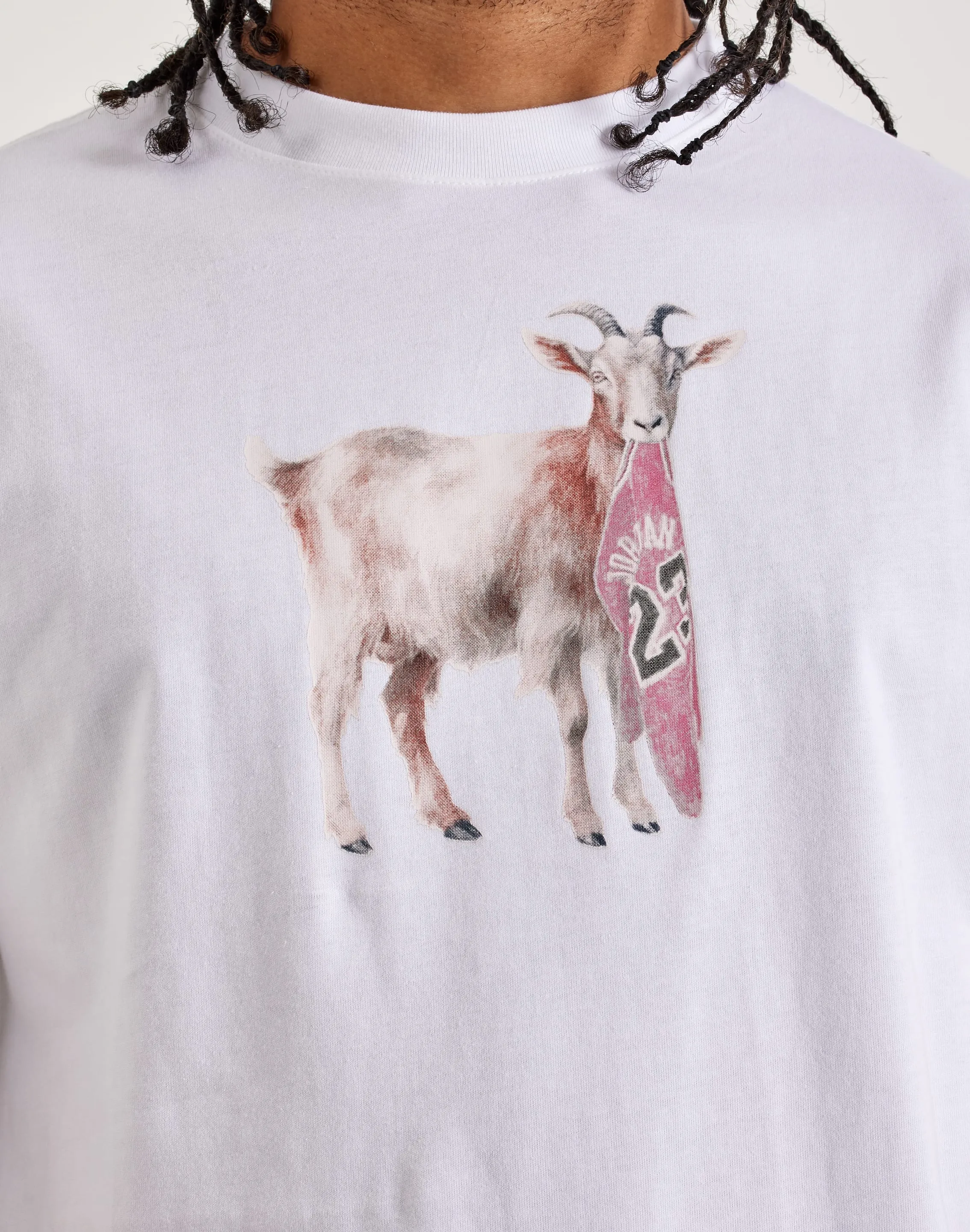 Jordan Goat Tee Conscious Fit