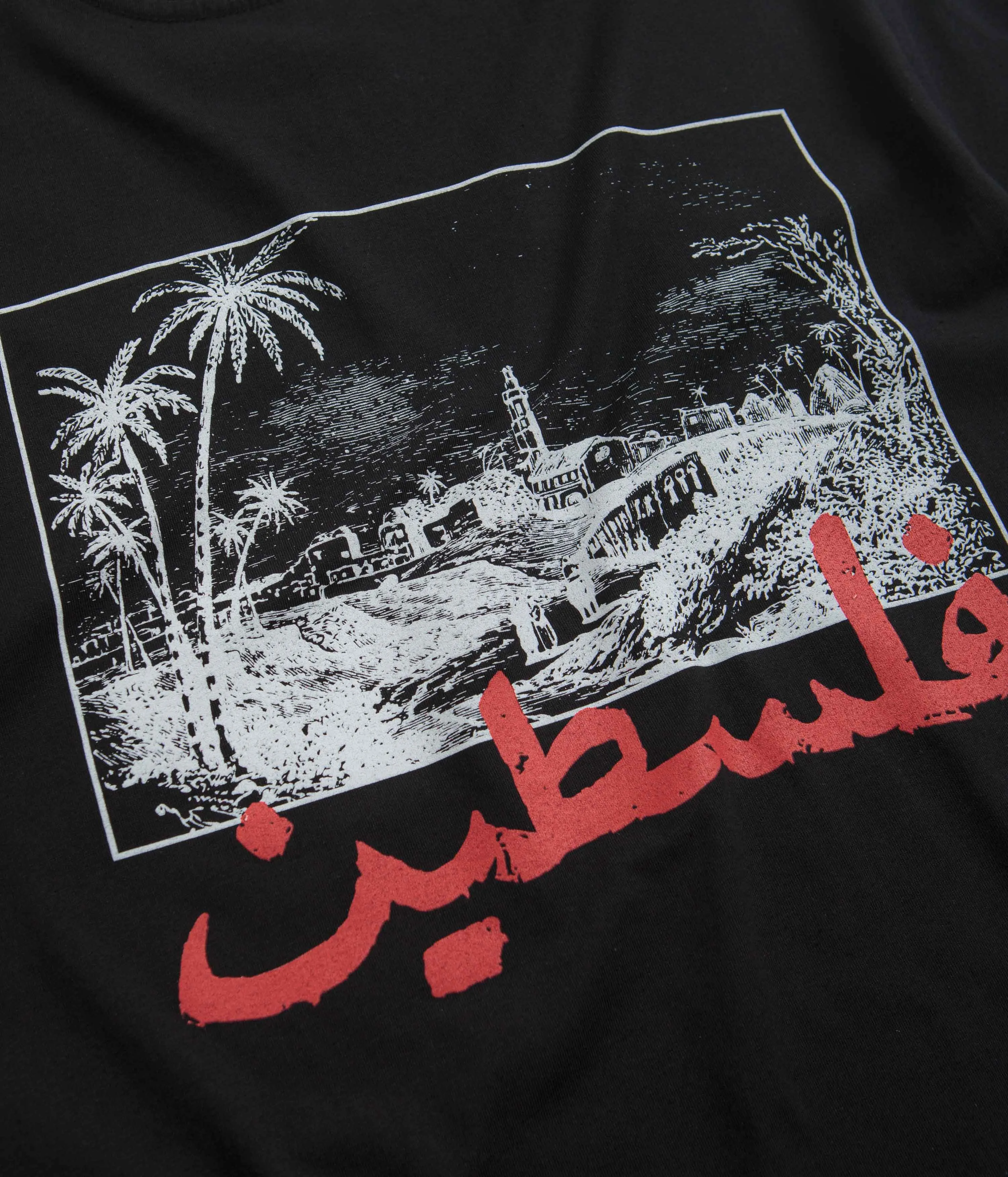 SkatePal Palms T-Shirt - Black dark colors