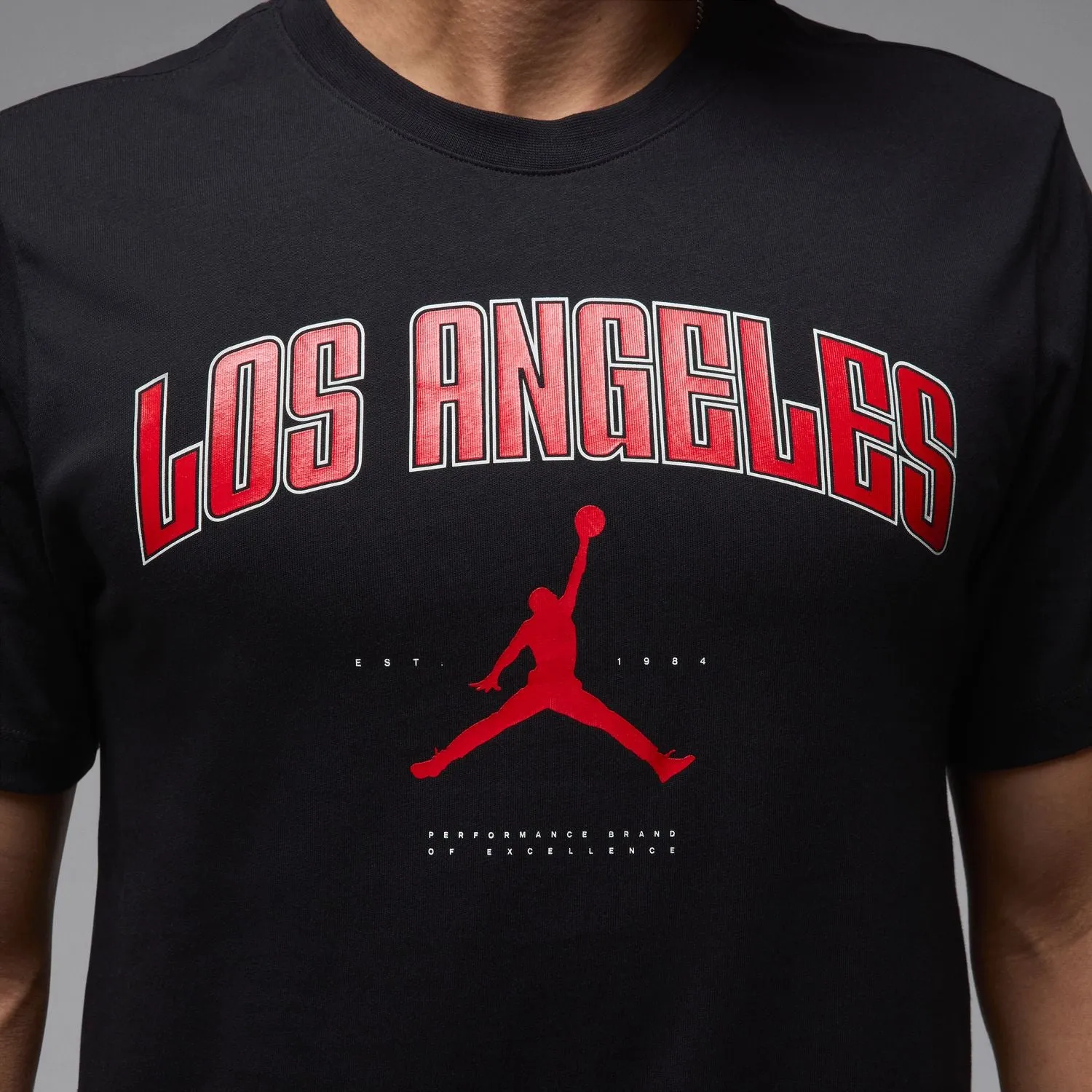 RecycledBlend MJ Los Angeles City Tee -Mens