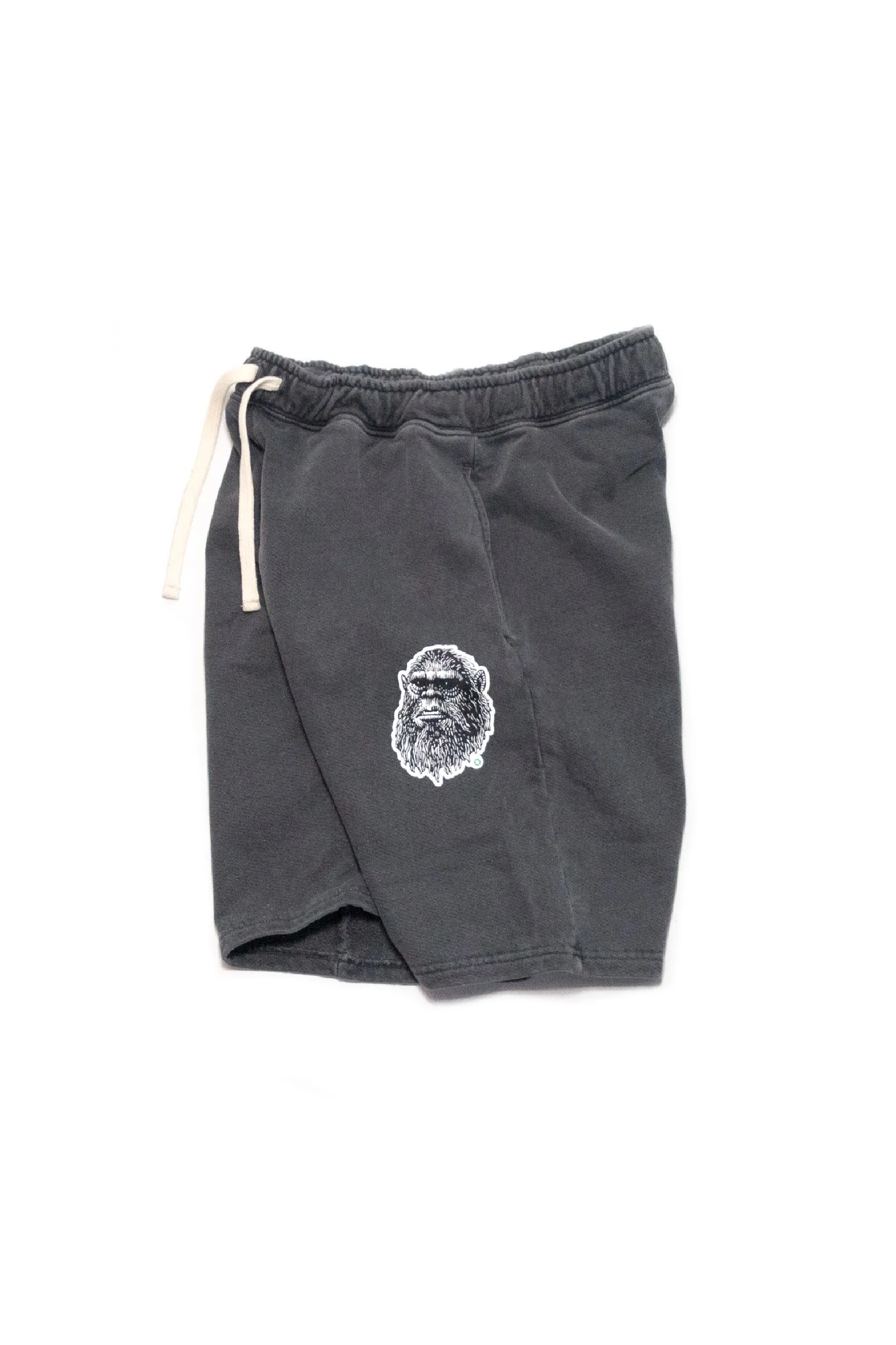 Stretch Fabric Tagless Labeling Arkansocks - Mugshot x Standard Issue Sweathshorts (Charcoal Grey)
