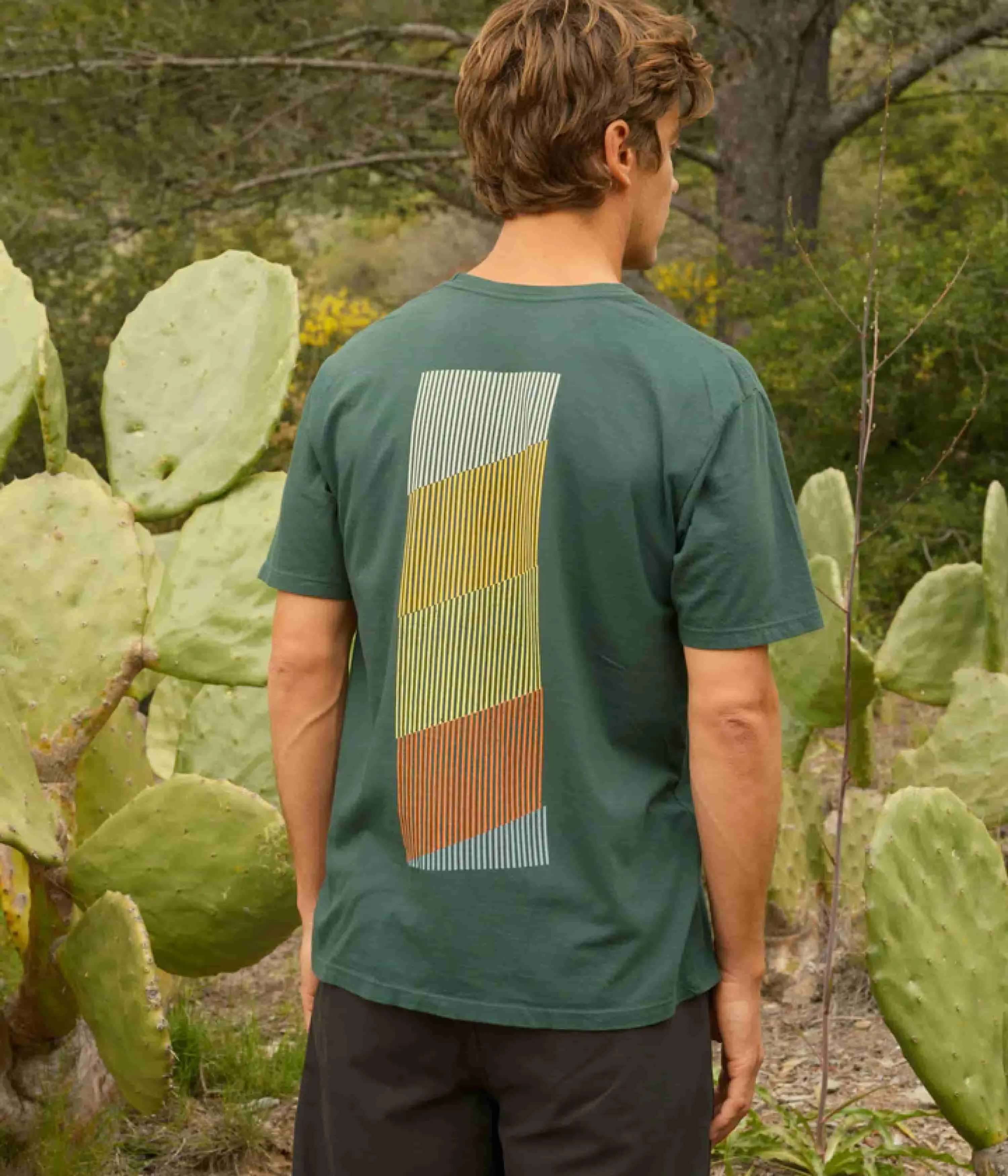 Yarn Dyed Stripes Mollusk Spectrum T-Shirt - Pinyon Green