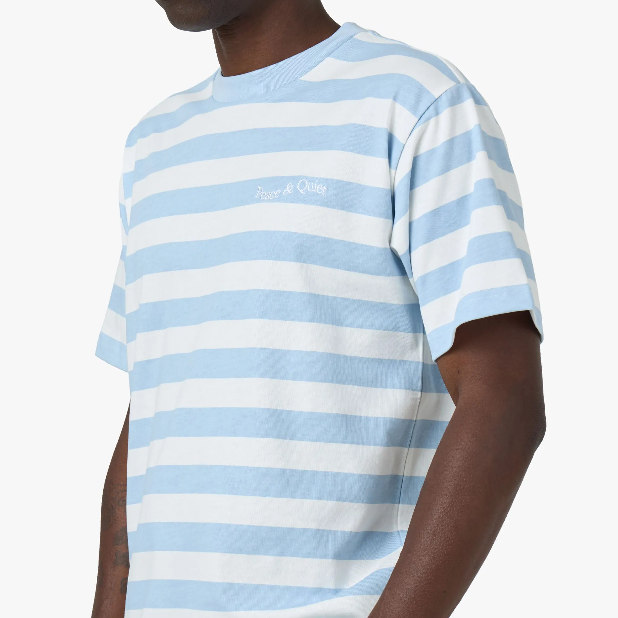 Museum Of Peace & Quiet Wordmark Striped T-Shirt / Baby Blue urban climate water park venue