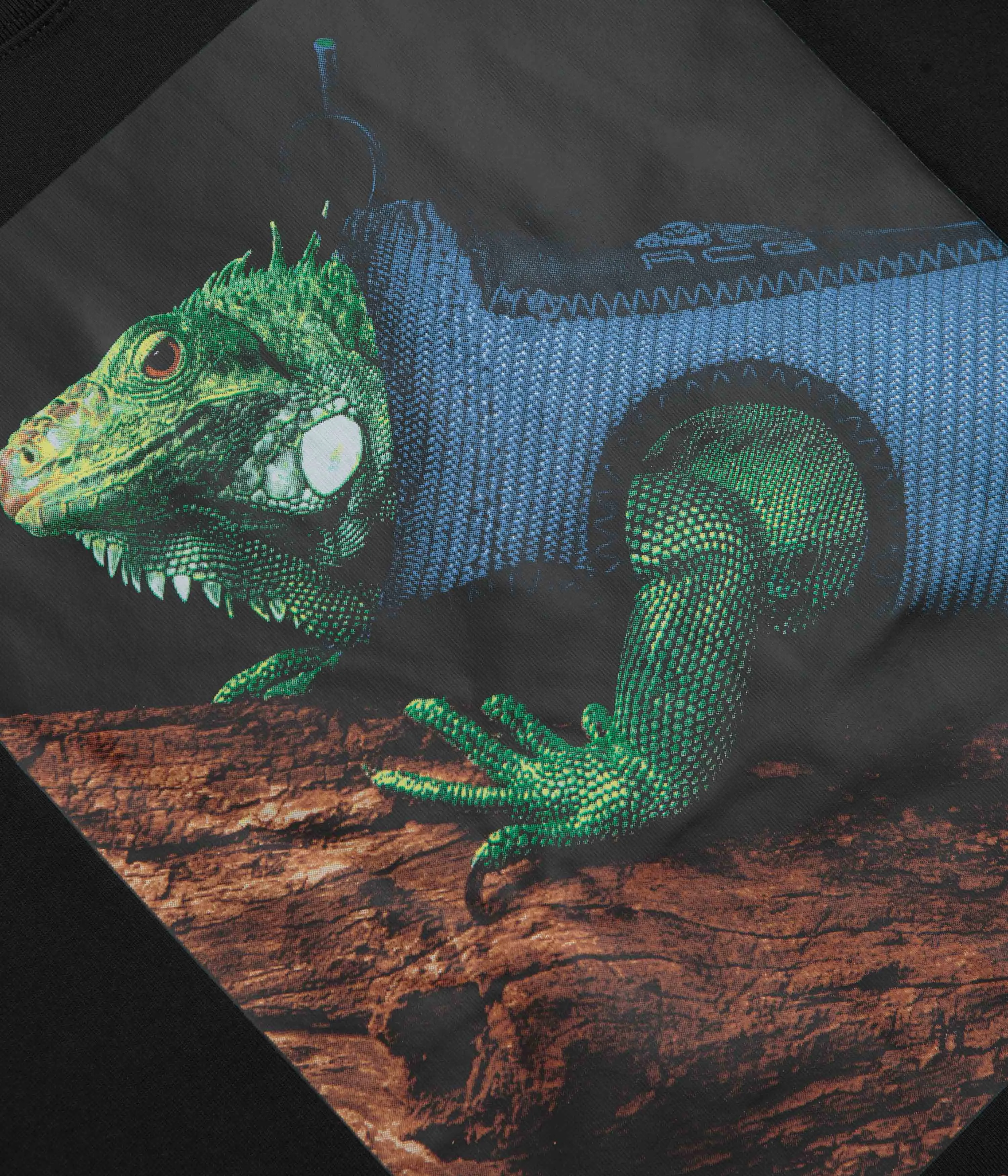 Affordable Trendy Accessories Nike ACG Iguana Vest T-Shirt - Black