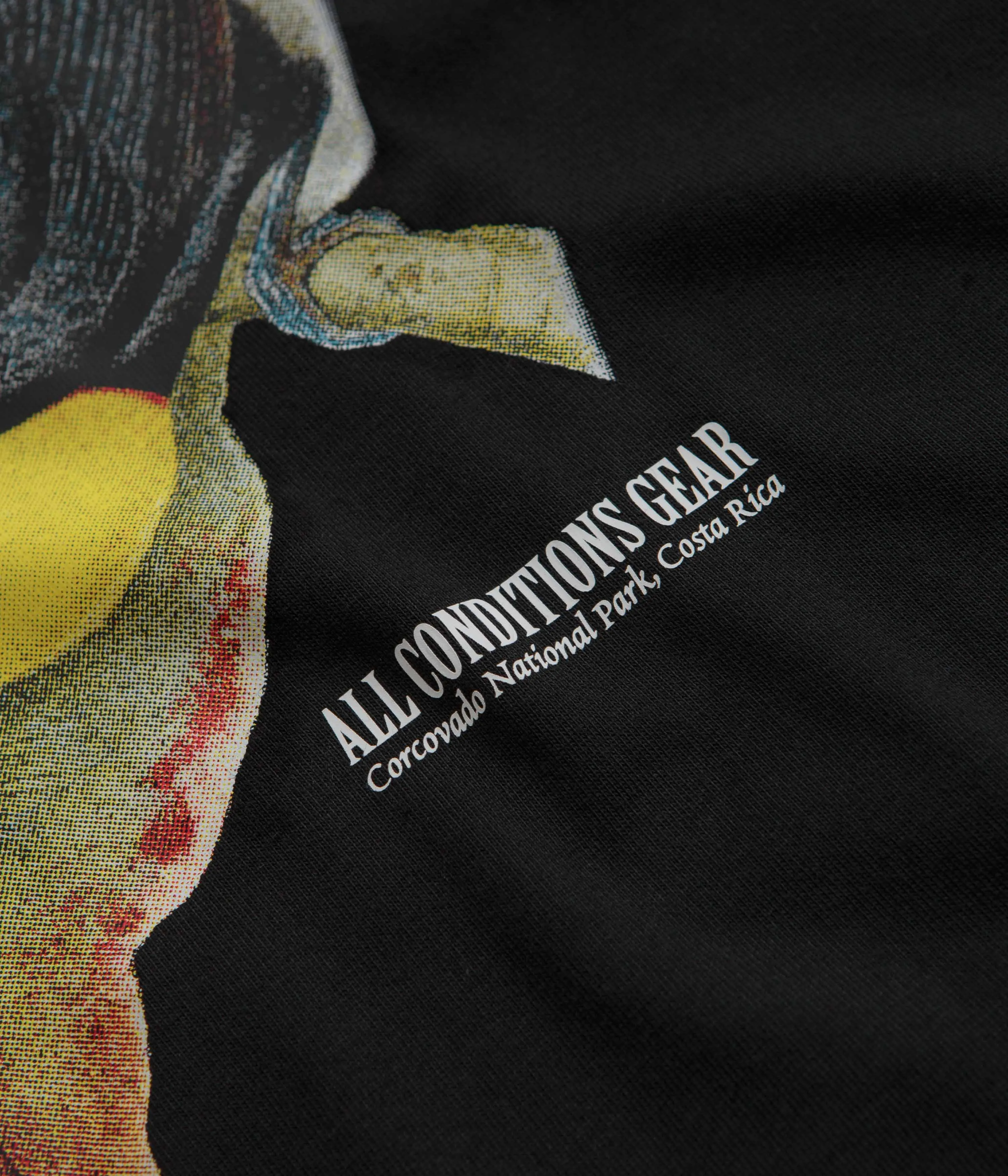Nike ACG Toucan T-Shirt - Black Youth fashion Metallic colors