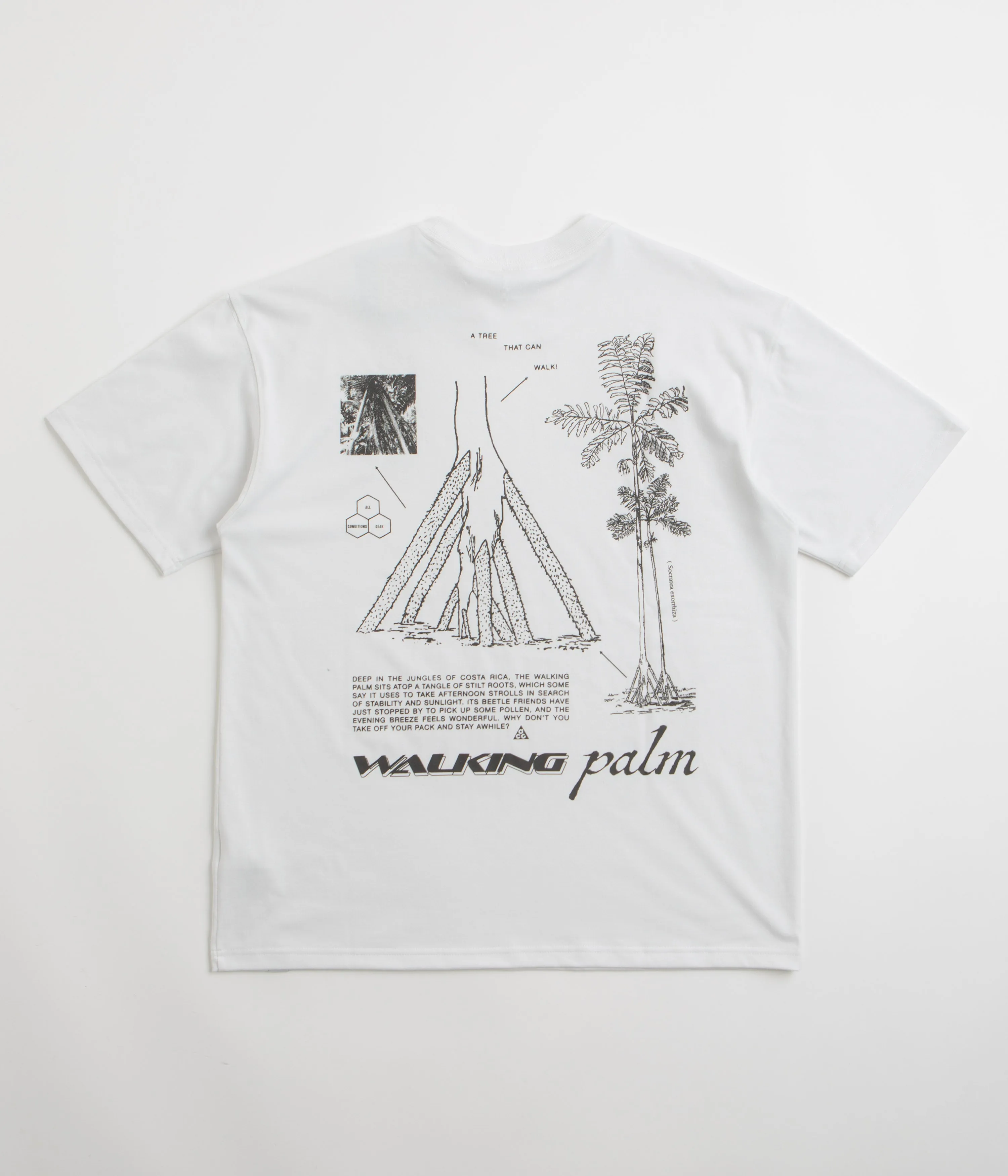 Yoga class Nike ACG Walk Tree T-Shirt - Summit White