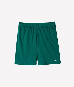 TemperatureRegulating plain shorts Obey Park Practice Short