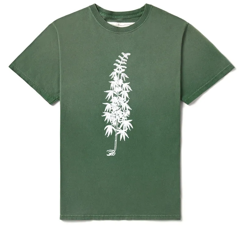 Fitted One Of These Days More Peace, More Freedom Tee - Washed Green