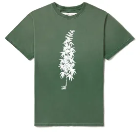 Fitted One Of These Days More Peace, More Freedom Tee - Washed Green