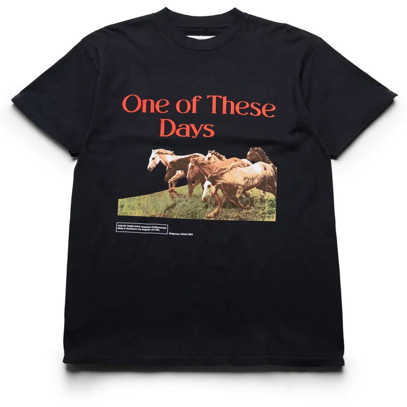 One Of These Days Wild Horses Tee - Washed Black Sports use Printed