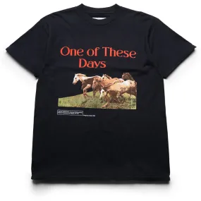 One Of These Days Wild Horses Tee - Washed Black Sports use Printed