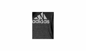 Originals Shine Logo Hoodie "Dark Grey"