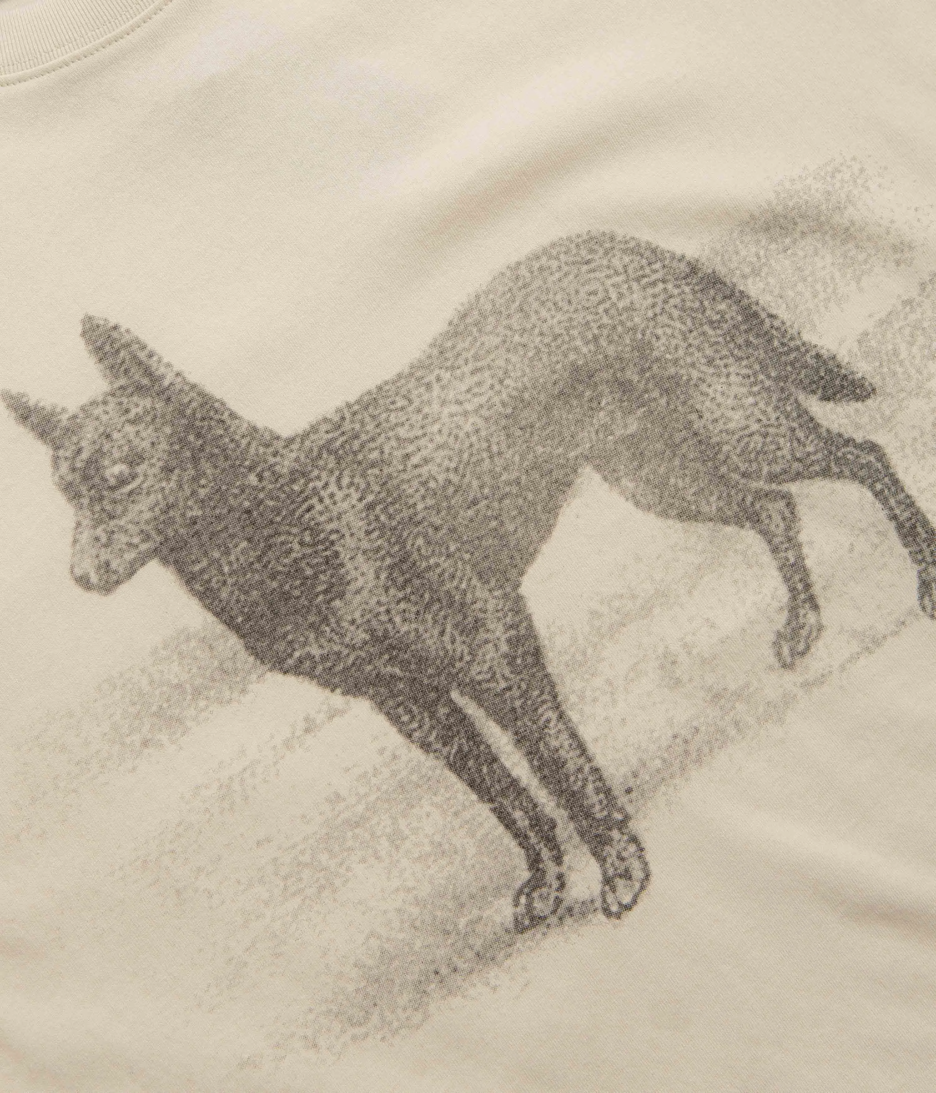 Pass Port Kelpie T-Shirt - Natural Half sleeve Off the shoulder