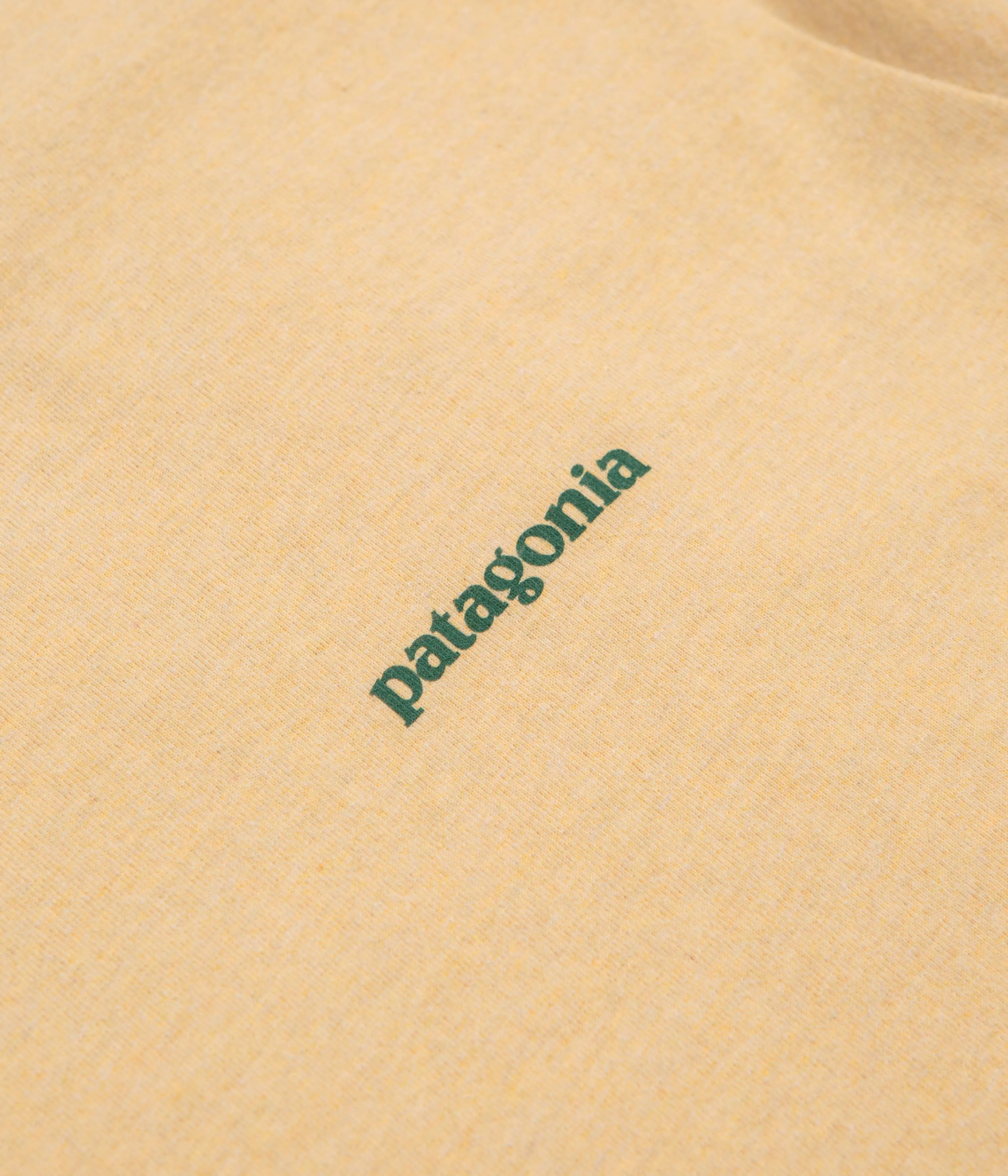 baseball venue Patagonia Flying Fish Responsibili-Tee T-Shirt - Flying Fish: Cliffs and Coves Conifer Green