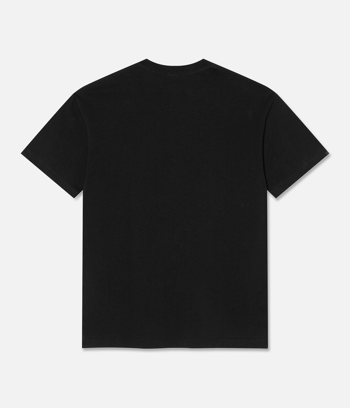 Gradient effect Minimalist Closure Polar Ladybug T-Shirt