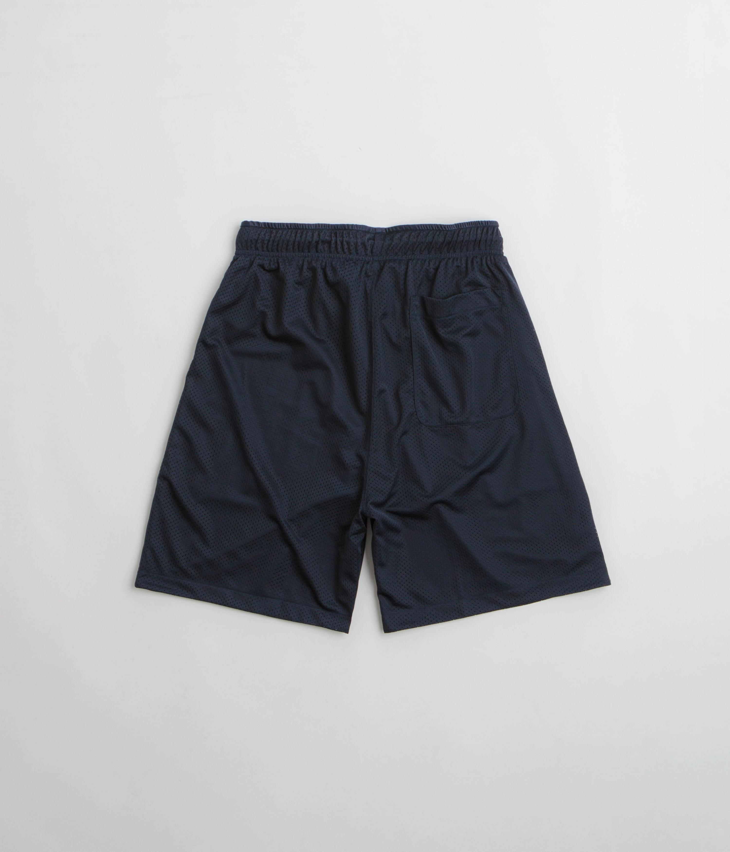 Polar Ray Shorts - Navy Travel Essential