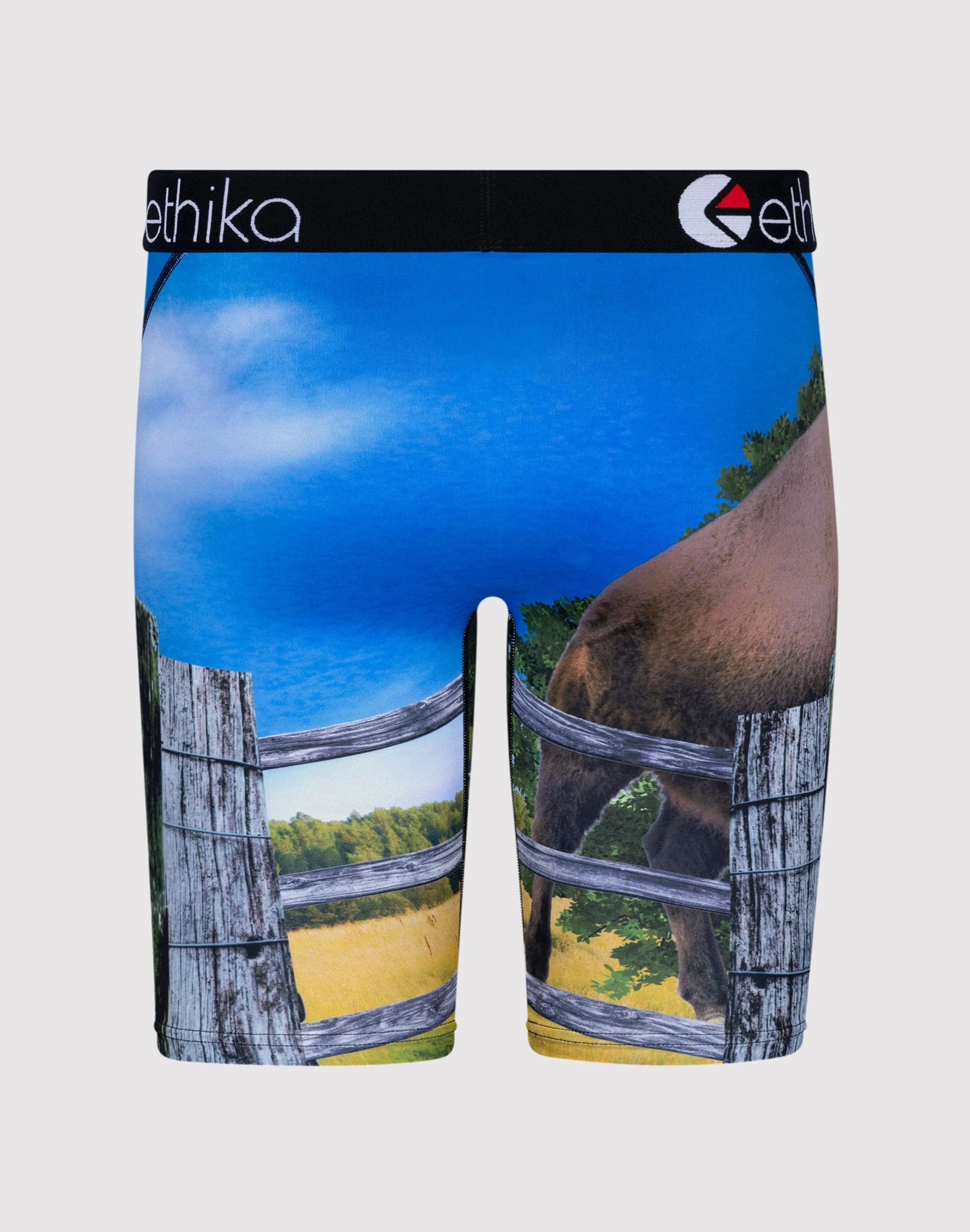 Ethika Bustin Buffalo Boxer Briefs GentleWaistband