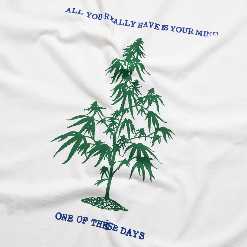 One Of These Days All You Really Have Is Your Mind Tee - Bone indoor venue multi-piece