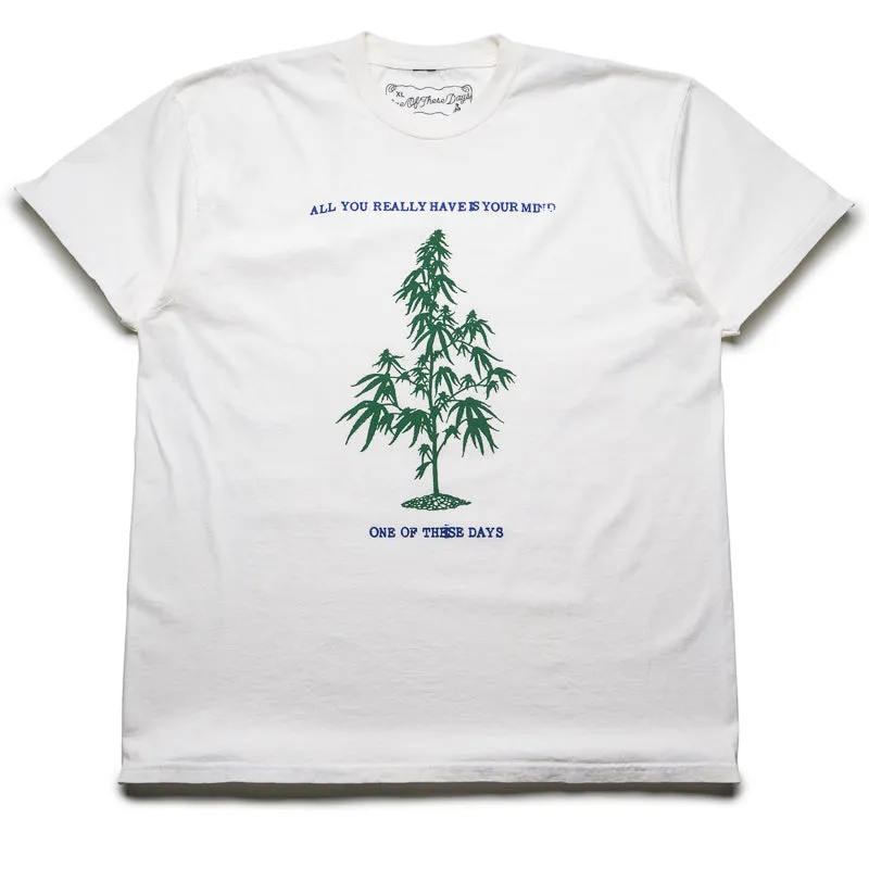 Zip-up One Of These Days All You Really Have Is Your Mind Tee - Bone