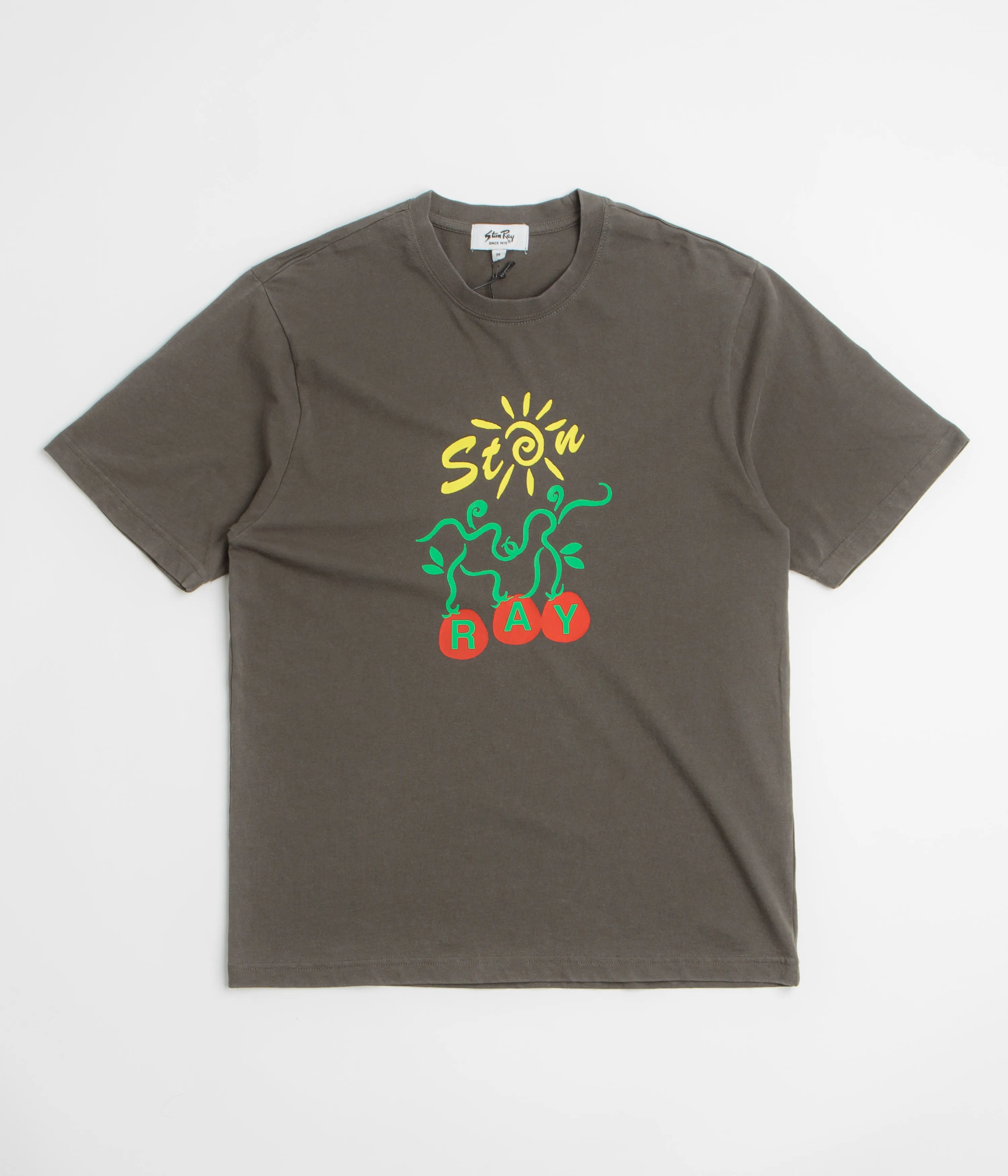 resort venue Stan Ray Ray Vine T-Shirt - Washed Black