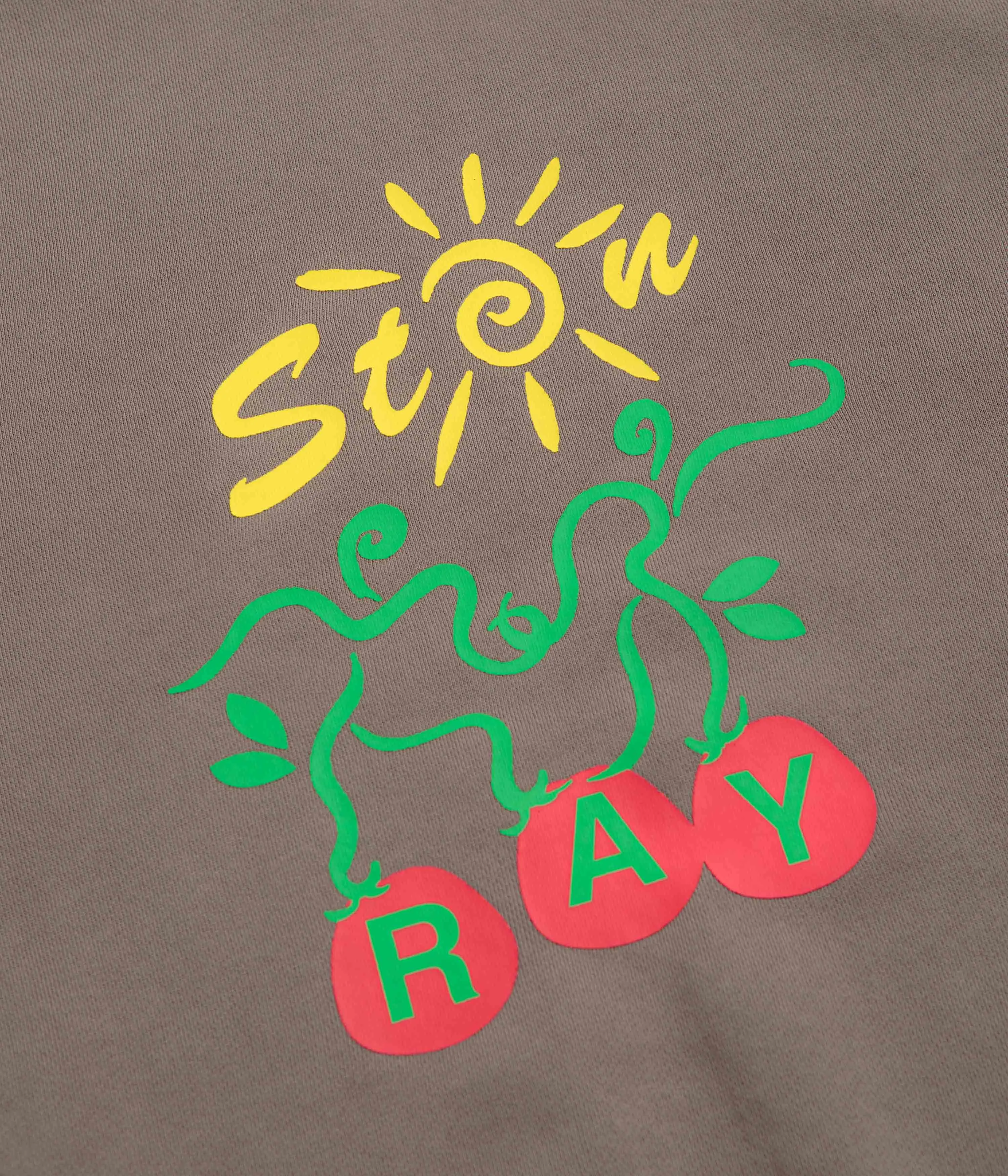 Stan Ray Ray Vine Crewneck Sweatshirt - Shale kids
