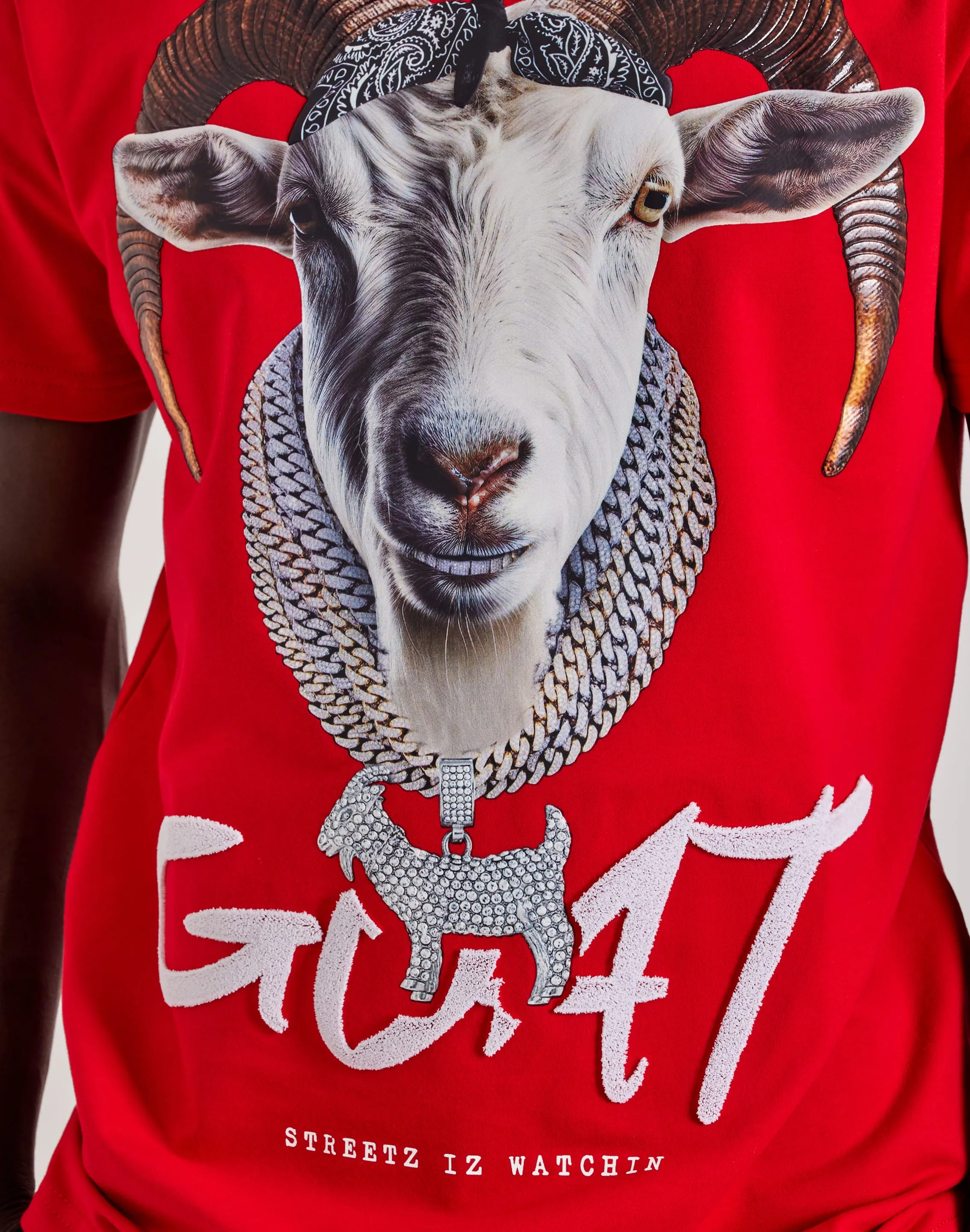 AntiStaticTechnology Streetz Iz Watchin Goat Tee