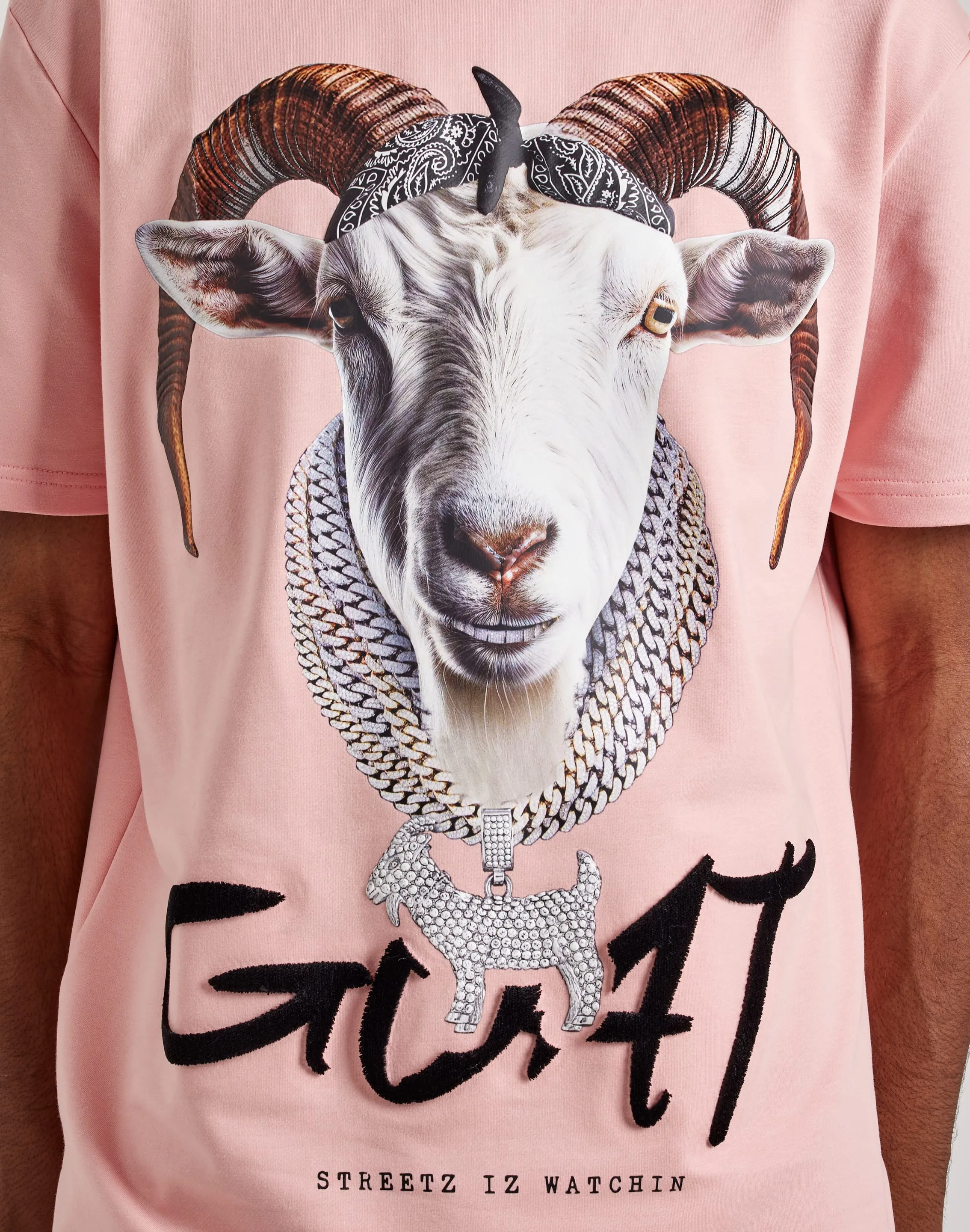 Streetz Iz Watchin Goat Tee Beauty Glow Fairy Core