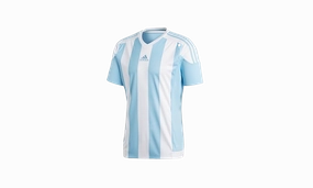 Flash Core Striped 15 Jersey Shortsleeve T-Shirt "White / Blue"